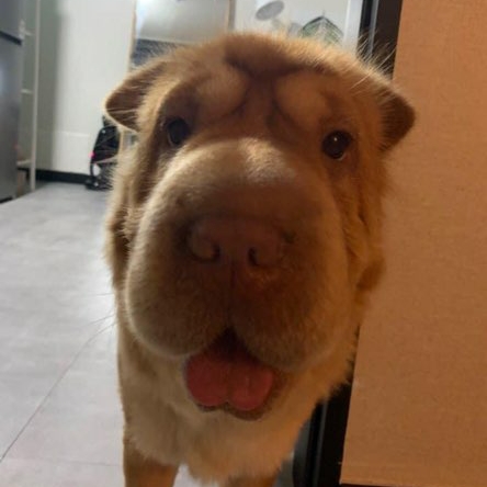 관심 유저 프로필 이미지