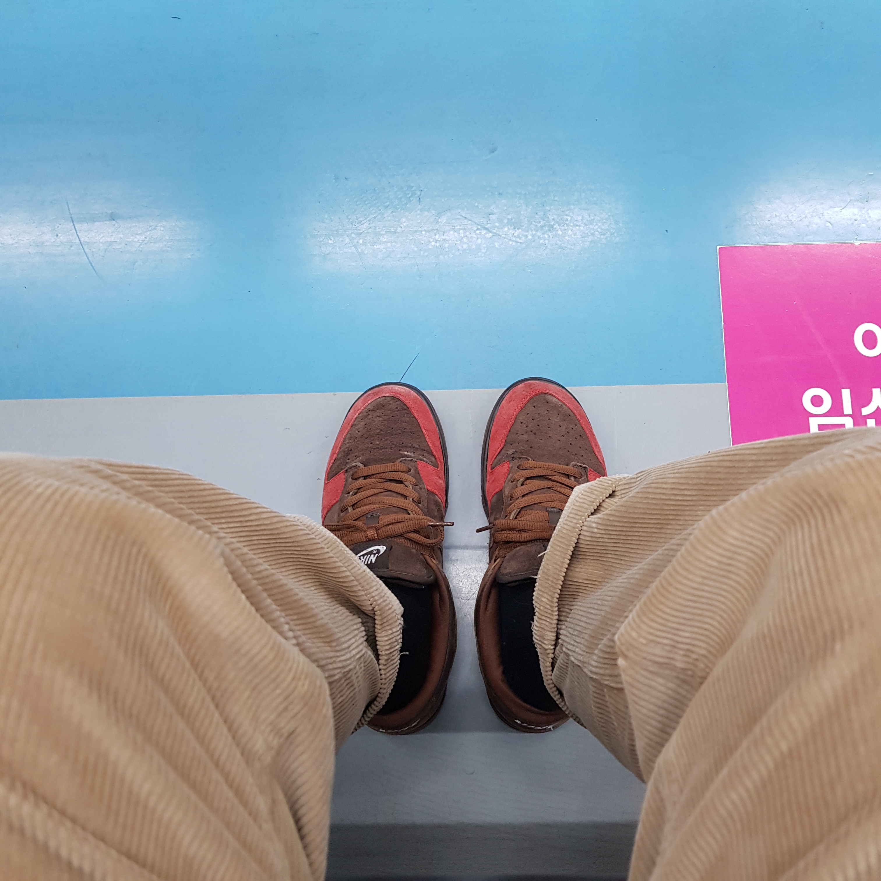 Nike Dunk SB Low Bison 착용 스타일