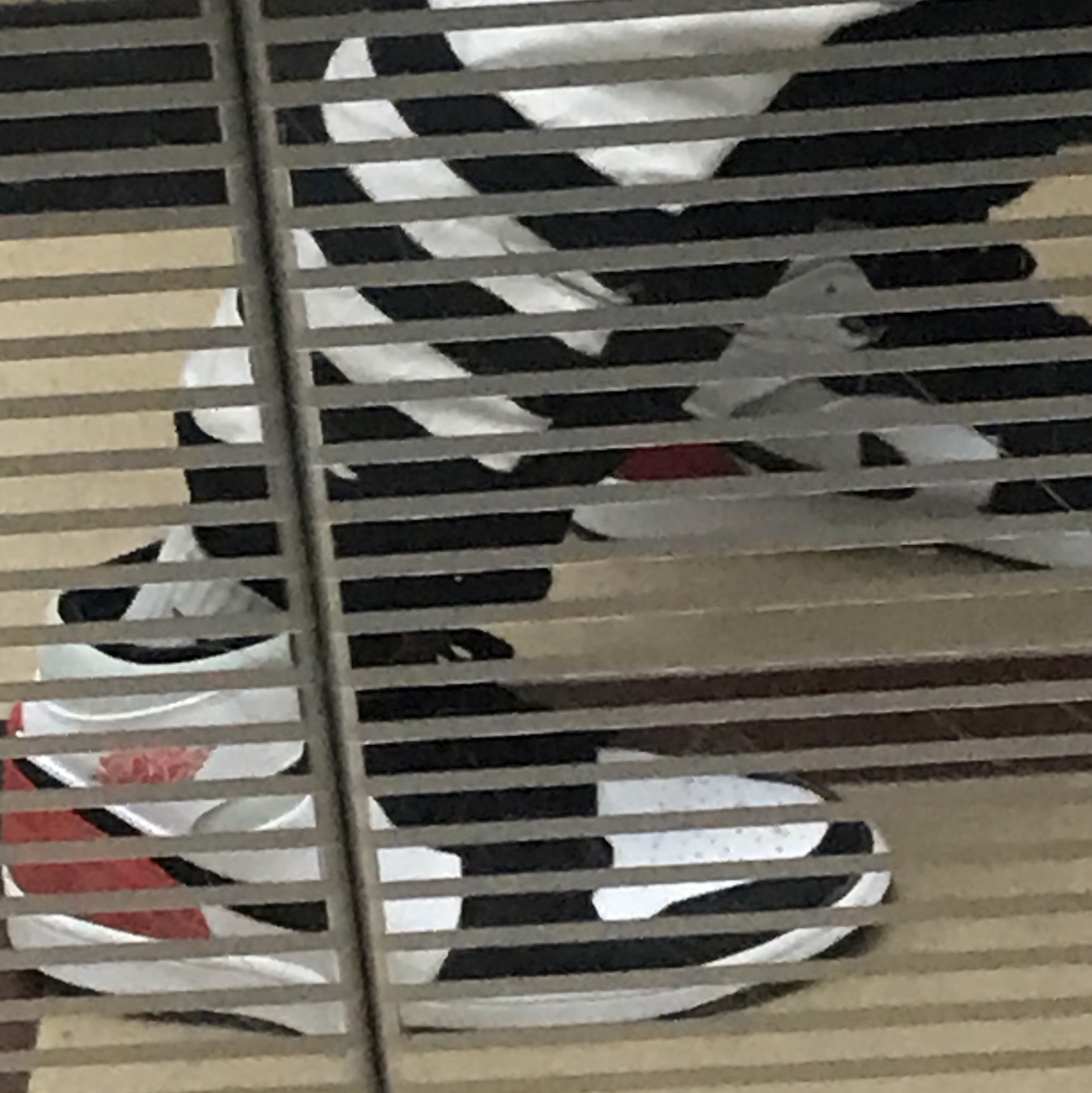 Jordan 1 Mid SE Track Red 착용 스타일