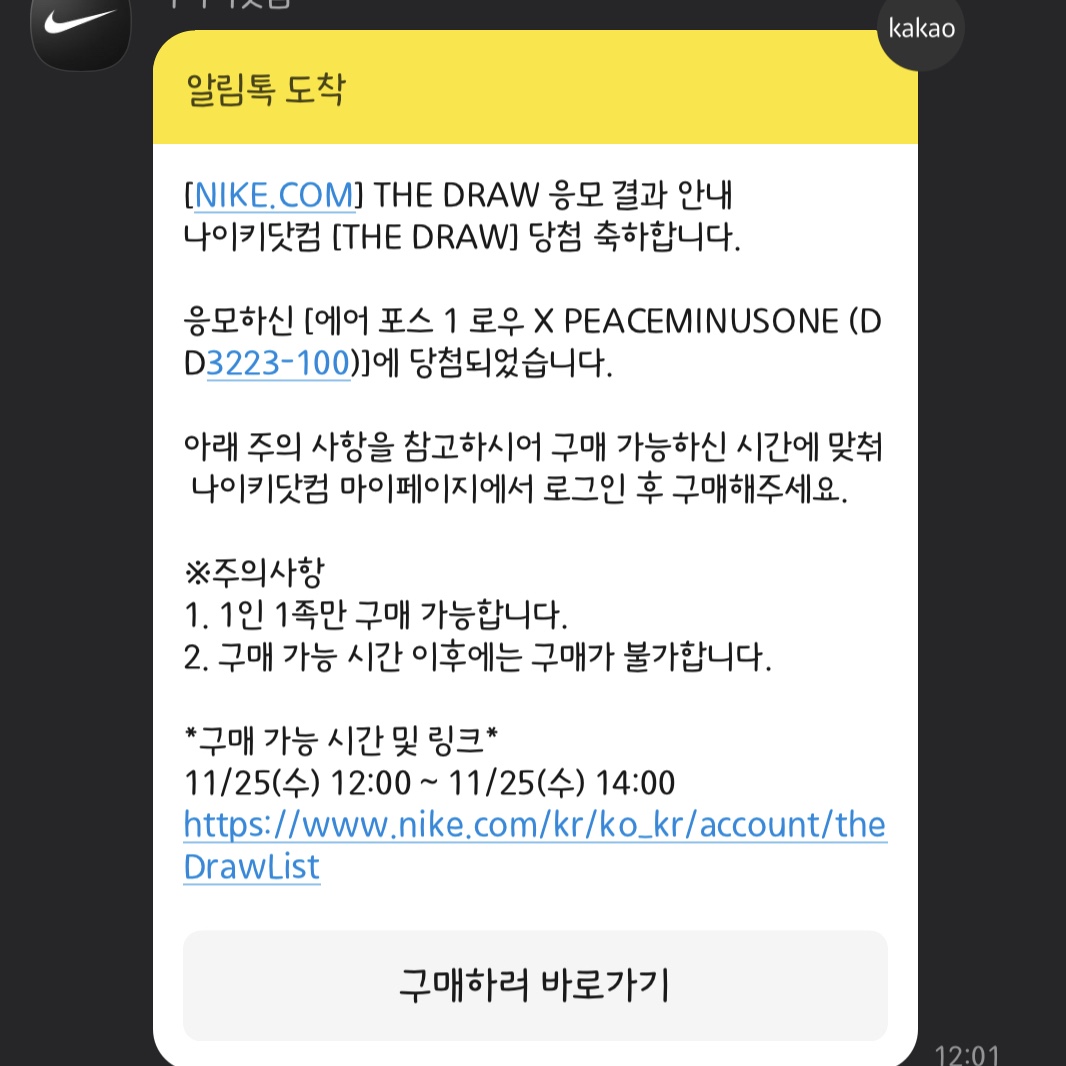 Nike x Peaceminusone Air Force 1 Low Para-Noise 2.0 착용 스타일