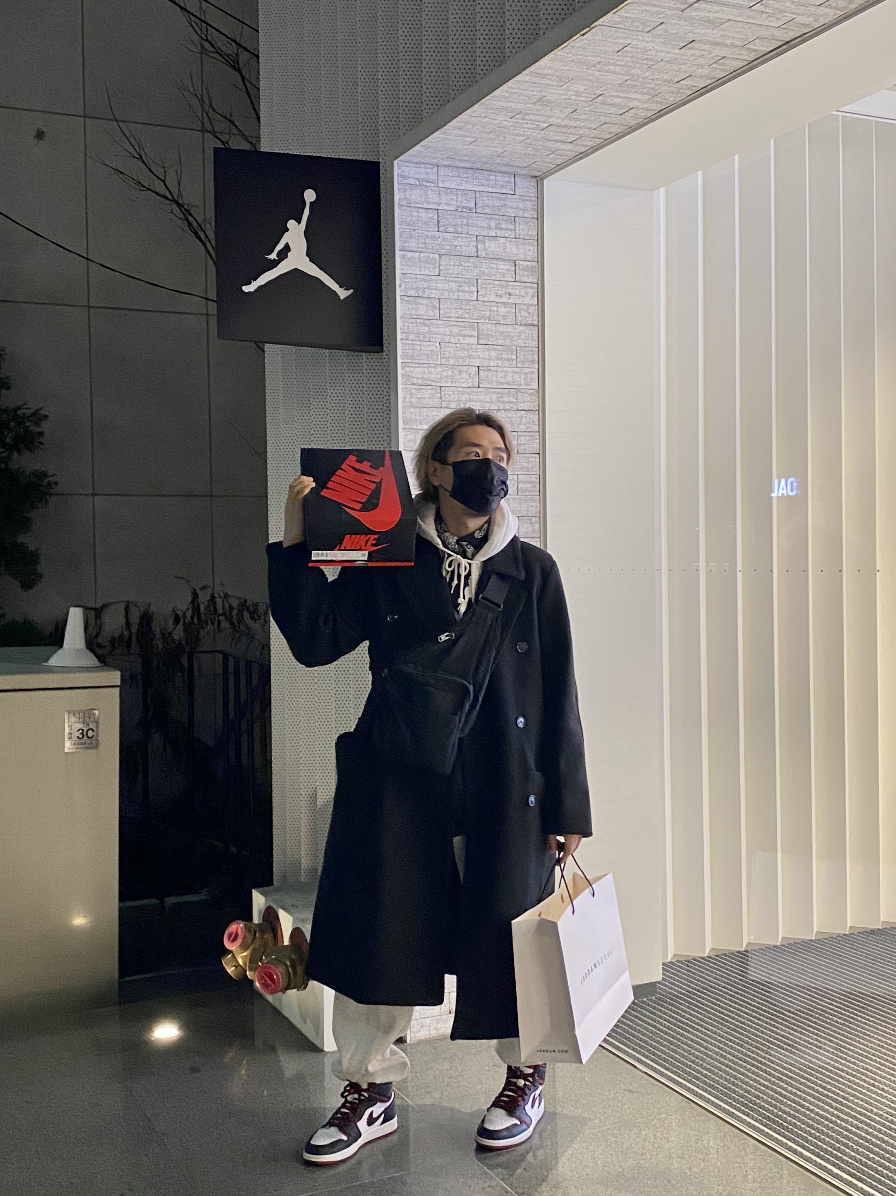 Jordan 1 Retro High OG Bloodline 착용 스타일