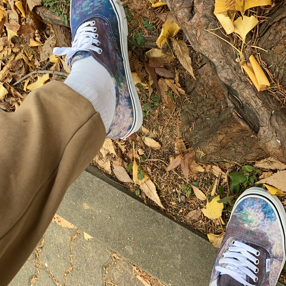 Vans x MoMA Authentic Claude Monet 착용 스타일