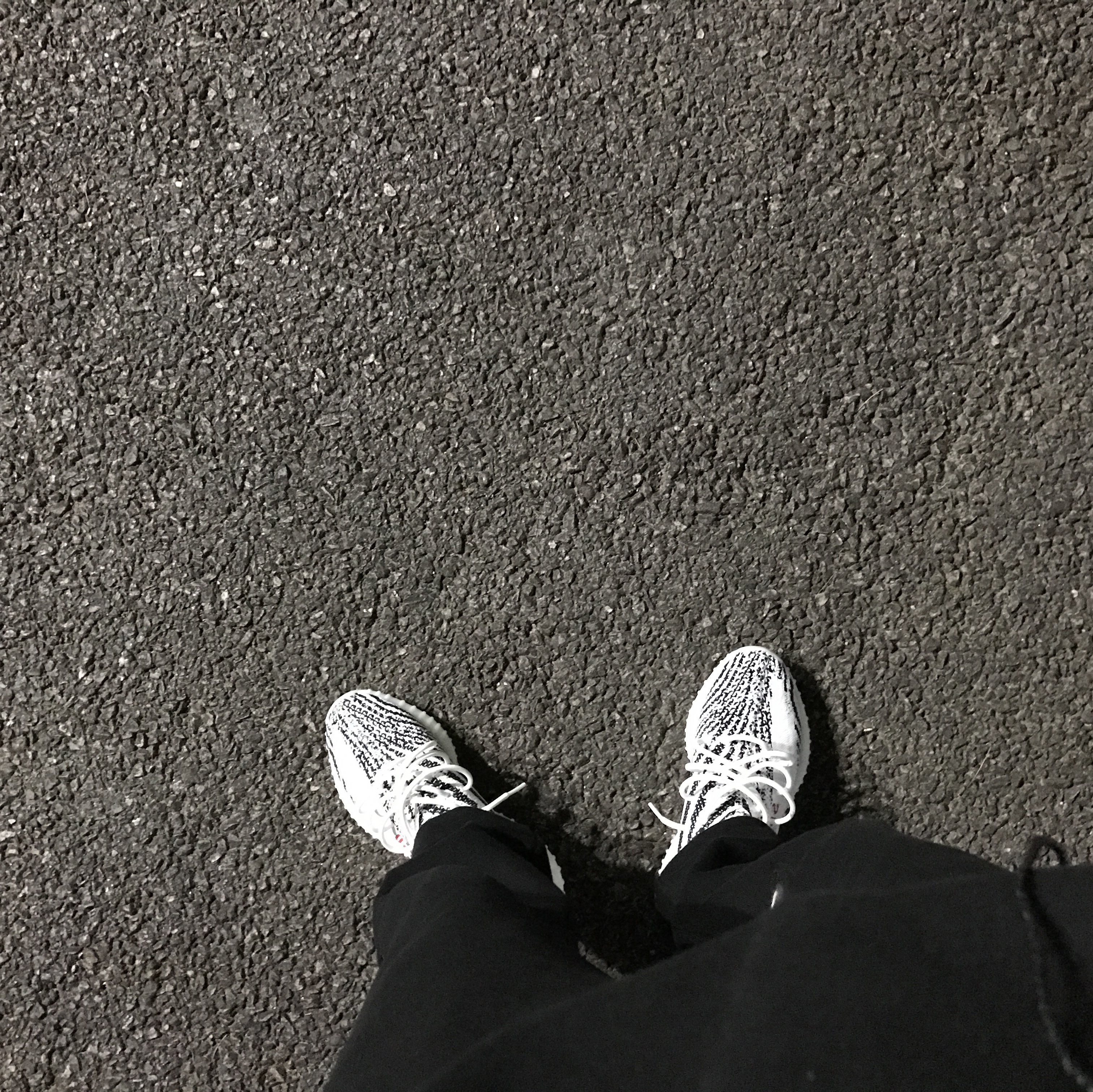 Adidas Yeezy Boost 350 V2 Zebra 2017/2019/2020 착용 스타일