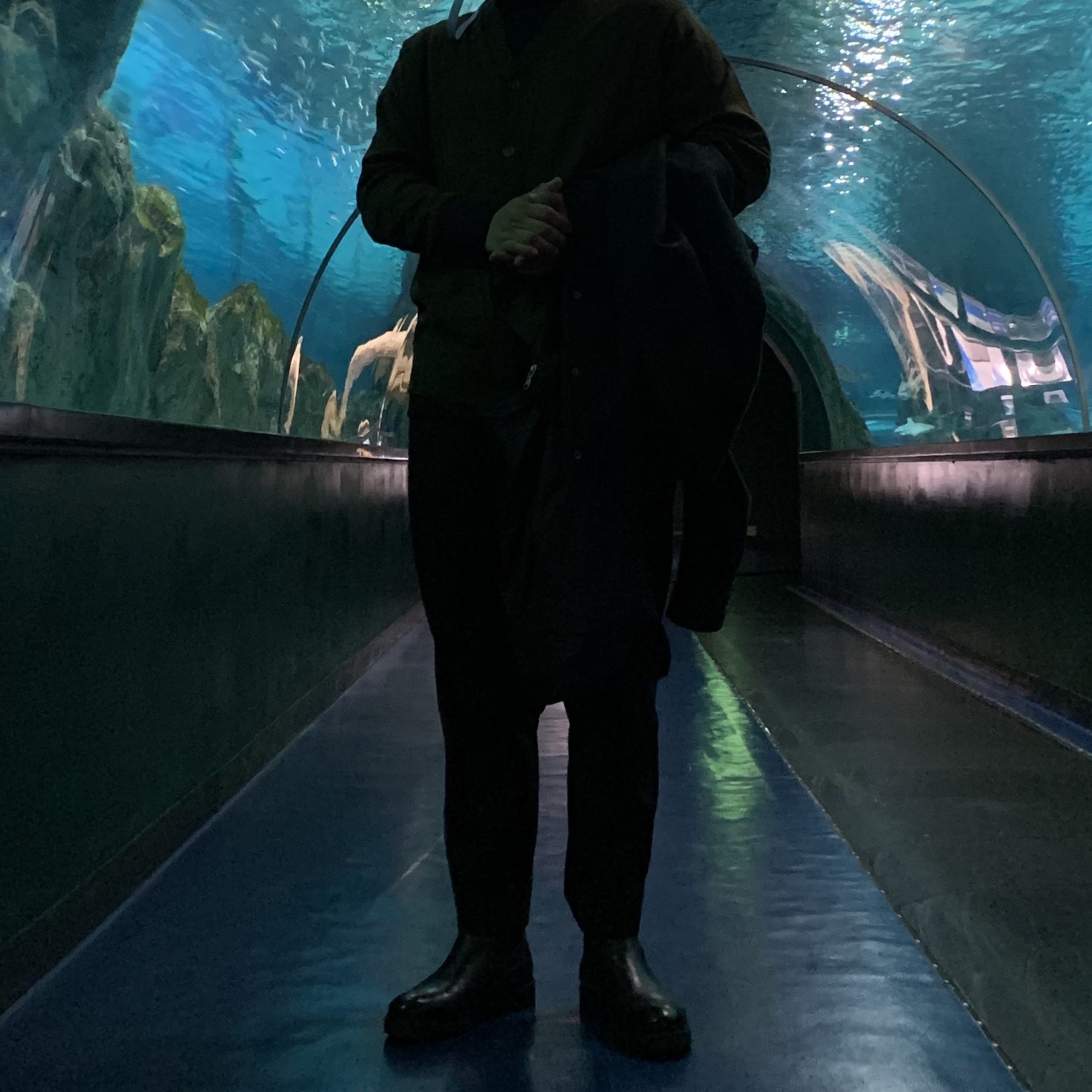 욘시님의 스타일