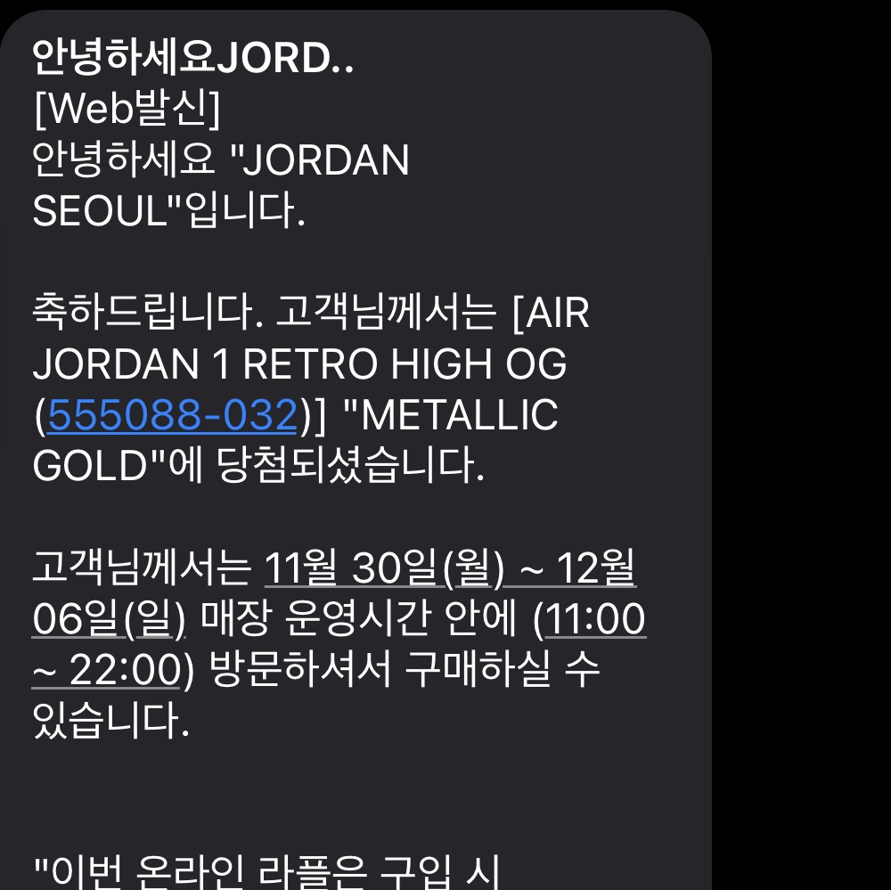 Jordan 1 Retro High OG Metallic Gold 착용 스타일