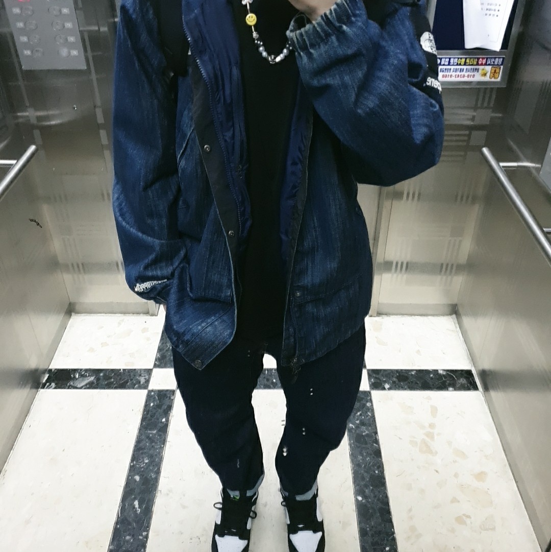 Nike x Staple SB Dunk Low Panda Pigeon 착용 스타일