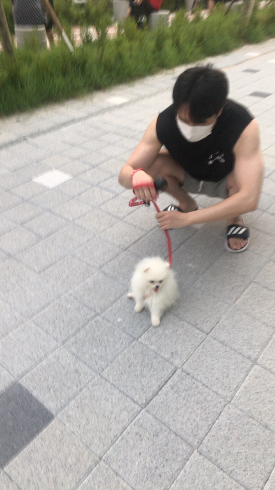 KREAM 프로필 이미지