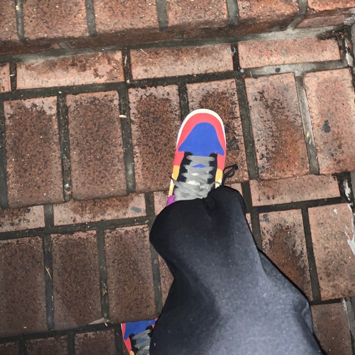 Nike Dunk Low SP Retro Viotech 2019 착용 스타일