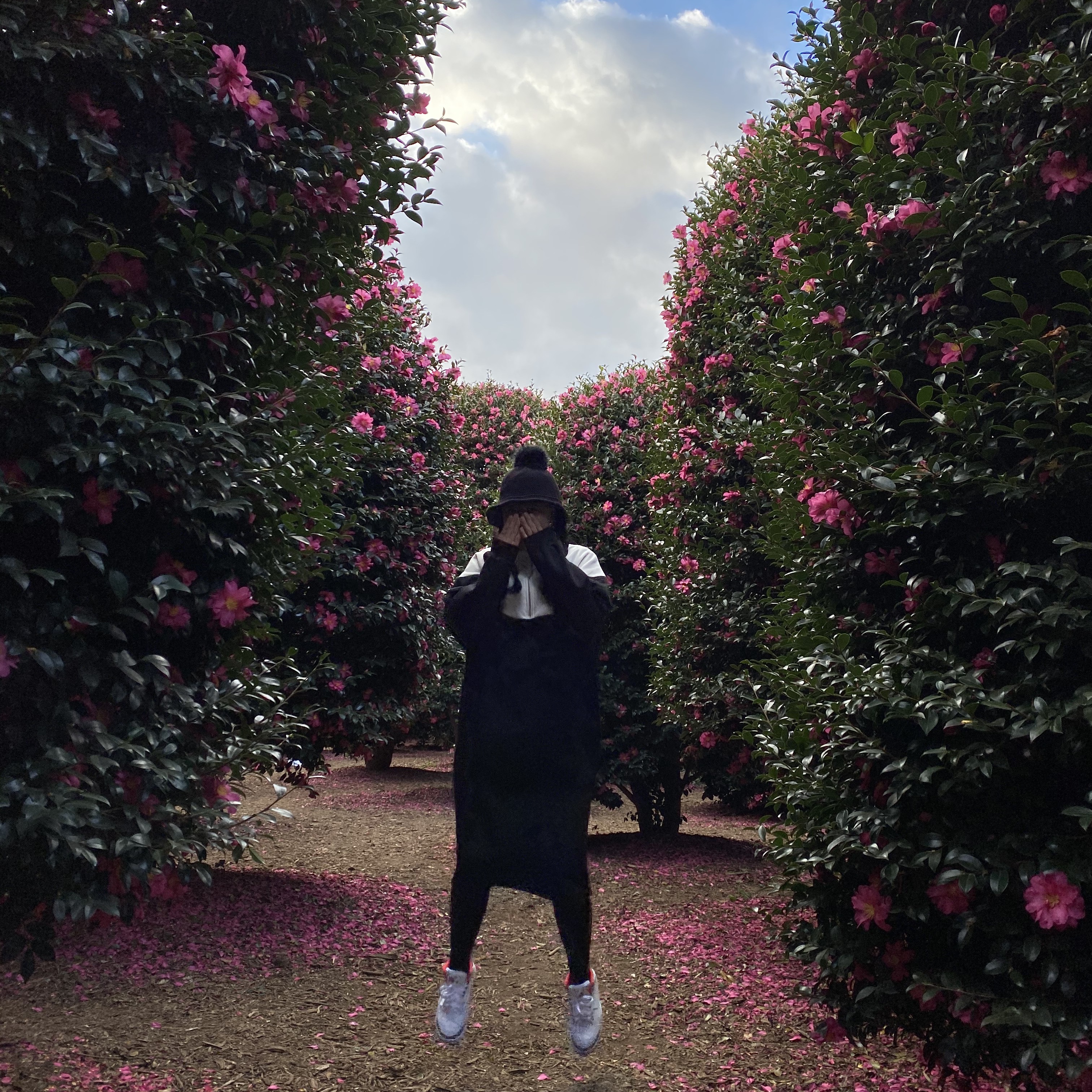 ์์
์ด๋ฏธ์ง