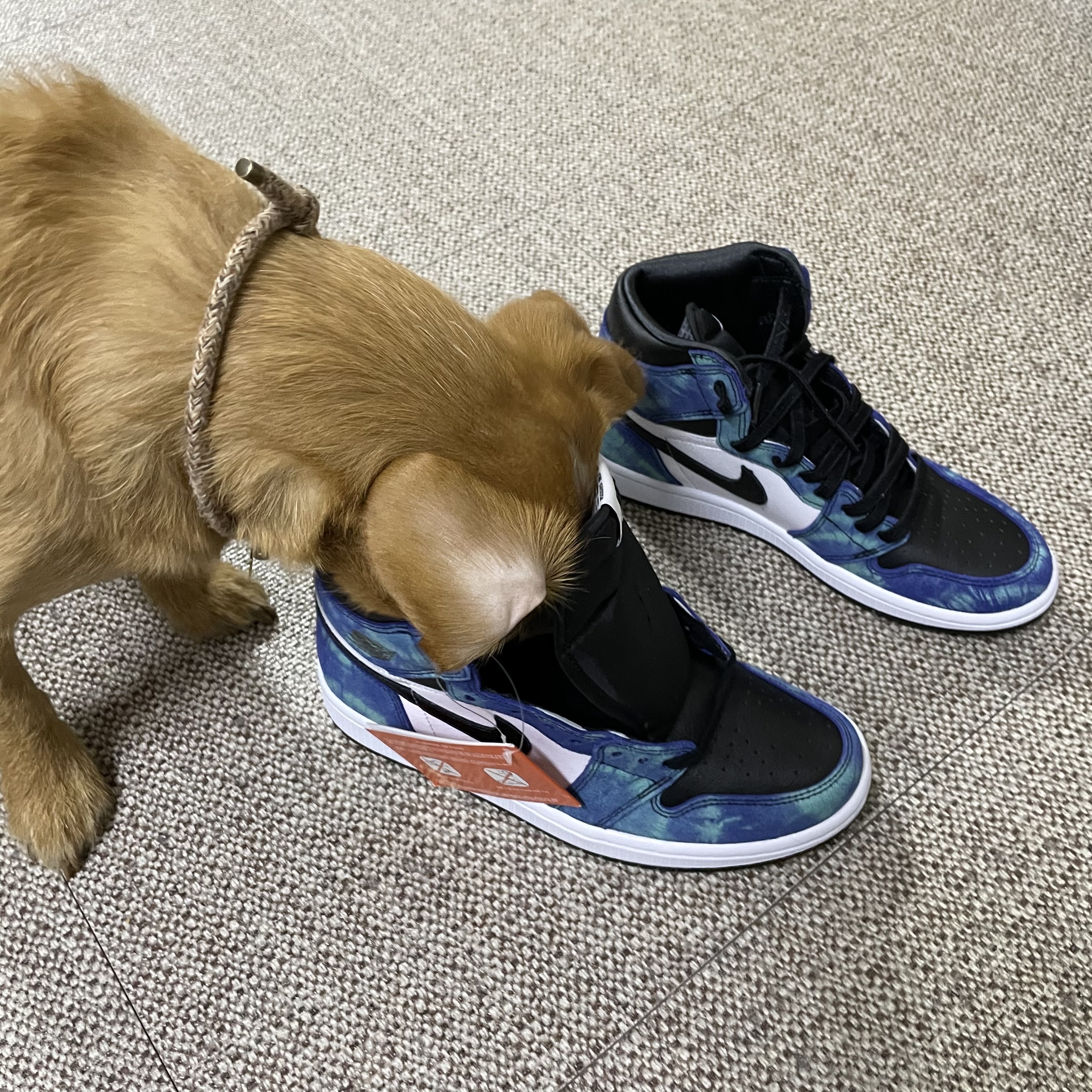 (W) Jordan 1 Retro High Tie-Dye 착용 스타일