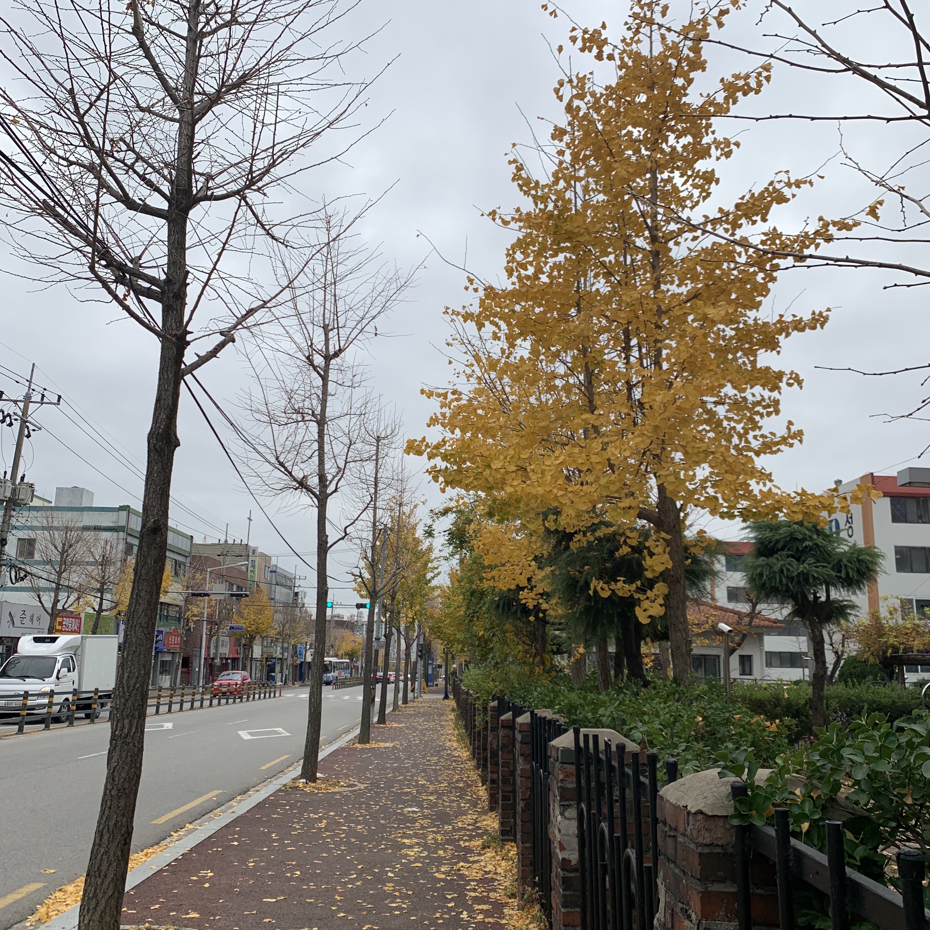 드엉 헝님의 스타일