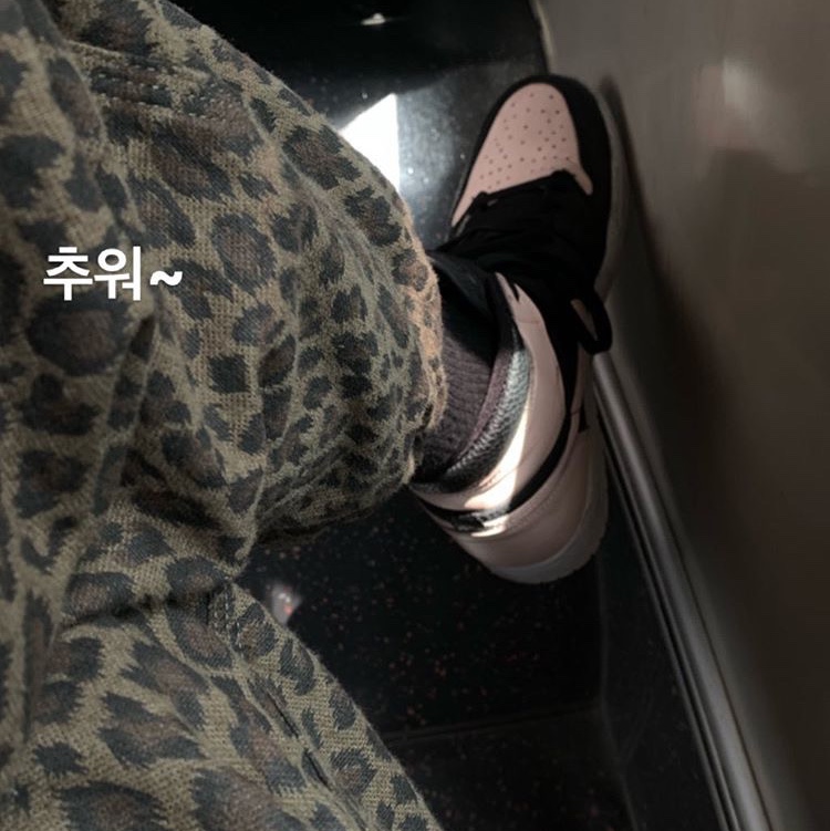 Jordan 1 Retro High OG Crimson Tint 착용 스타일