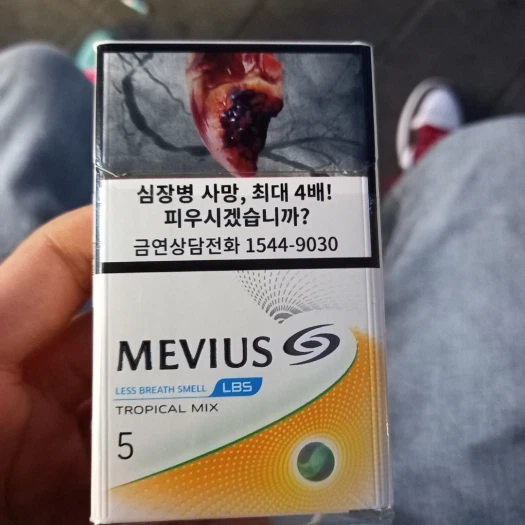 스타일 카드