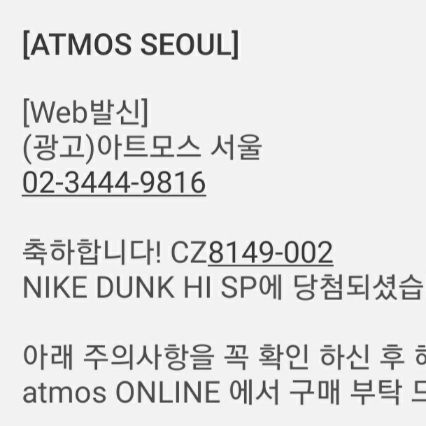 Nike Dunk High SP Varsity Maize 착용 스타일