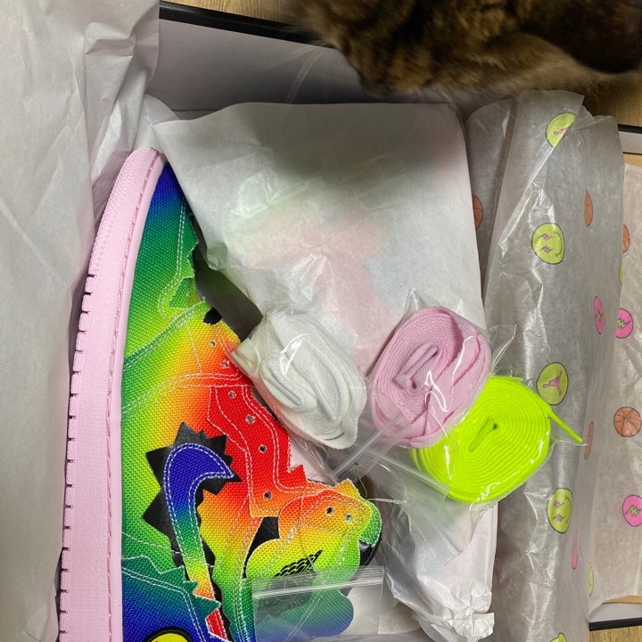 Jordan 1 x J Balvin Retro High OG 착용 스타일 - 2
