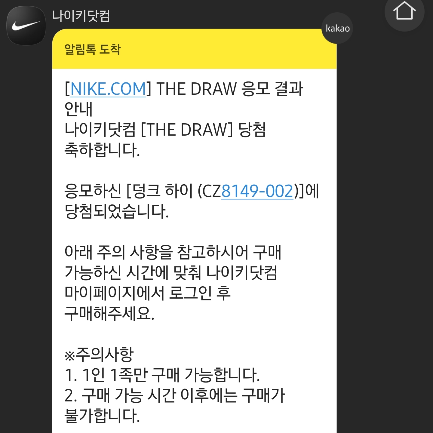 Nike Dunk High SP Varsity Maize 착용 스타일