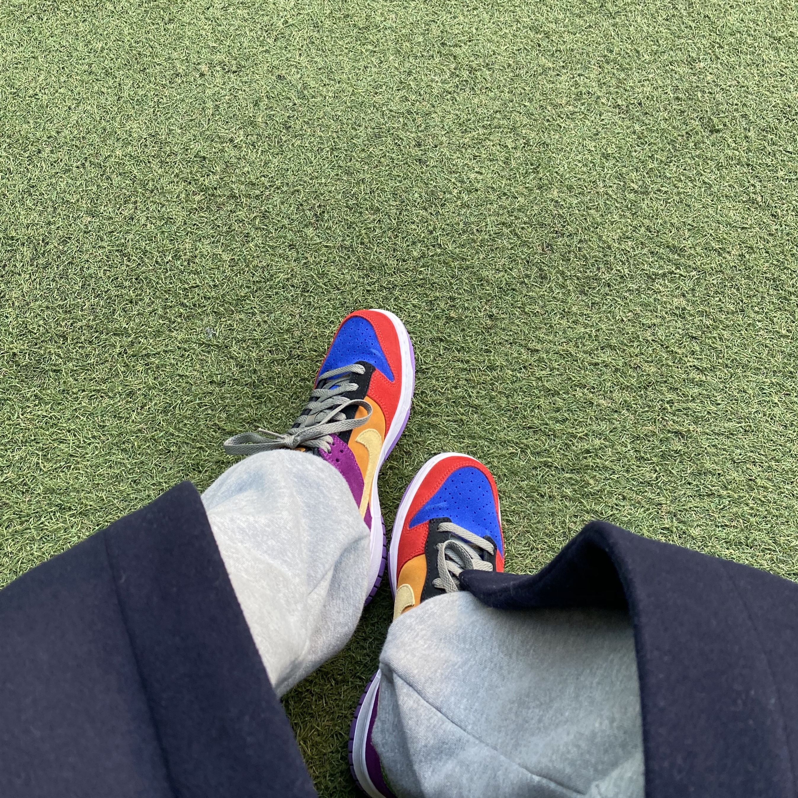 Nike Dunk Low SP Retro Viotech 2019 착용 스타일