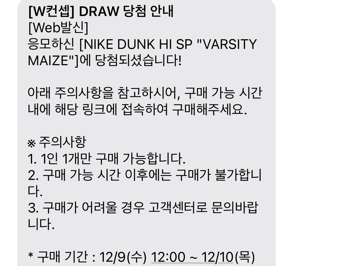 Nike Dunk High SP Varsity Maize 착용 스타일