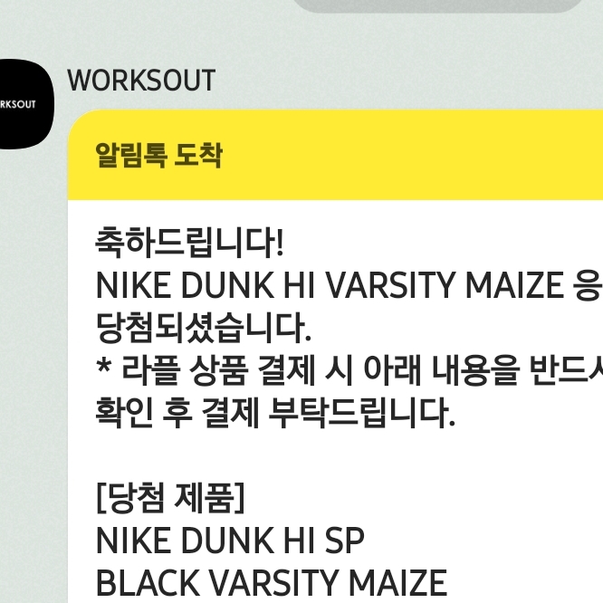 Nike Dunk High SP Varsity Maize 착용 스타일
