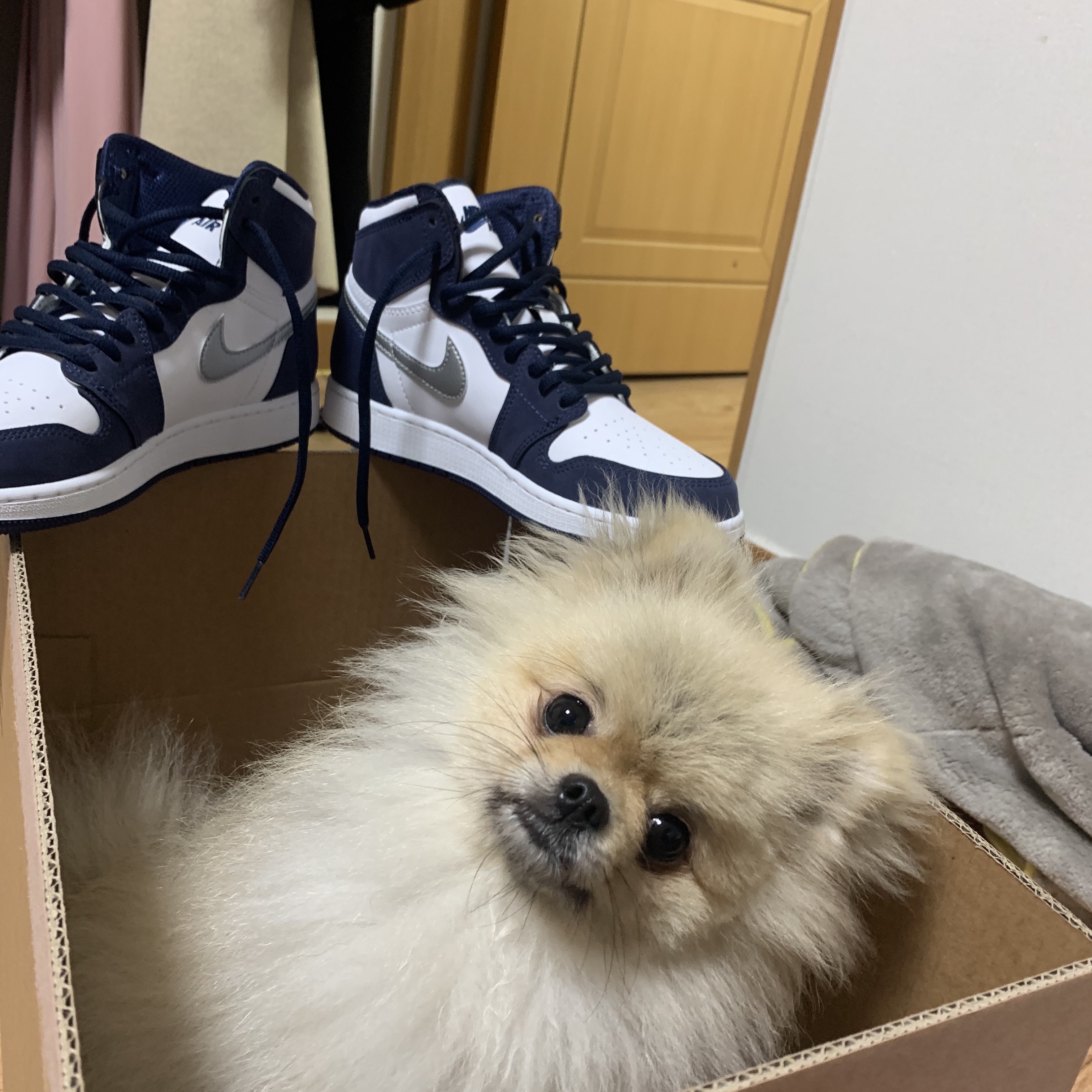 (GS) Jordan 1 Retro High OG CO.JP Midnight Navy 착용 스타일 - 1