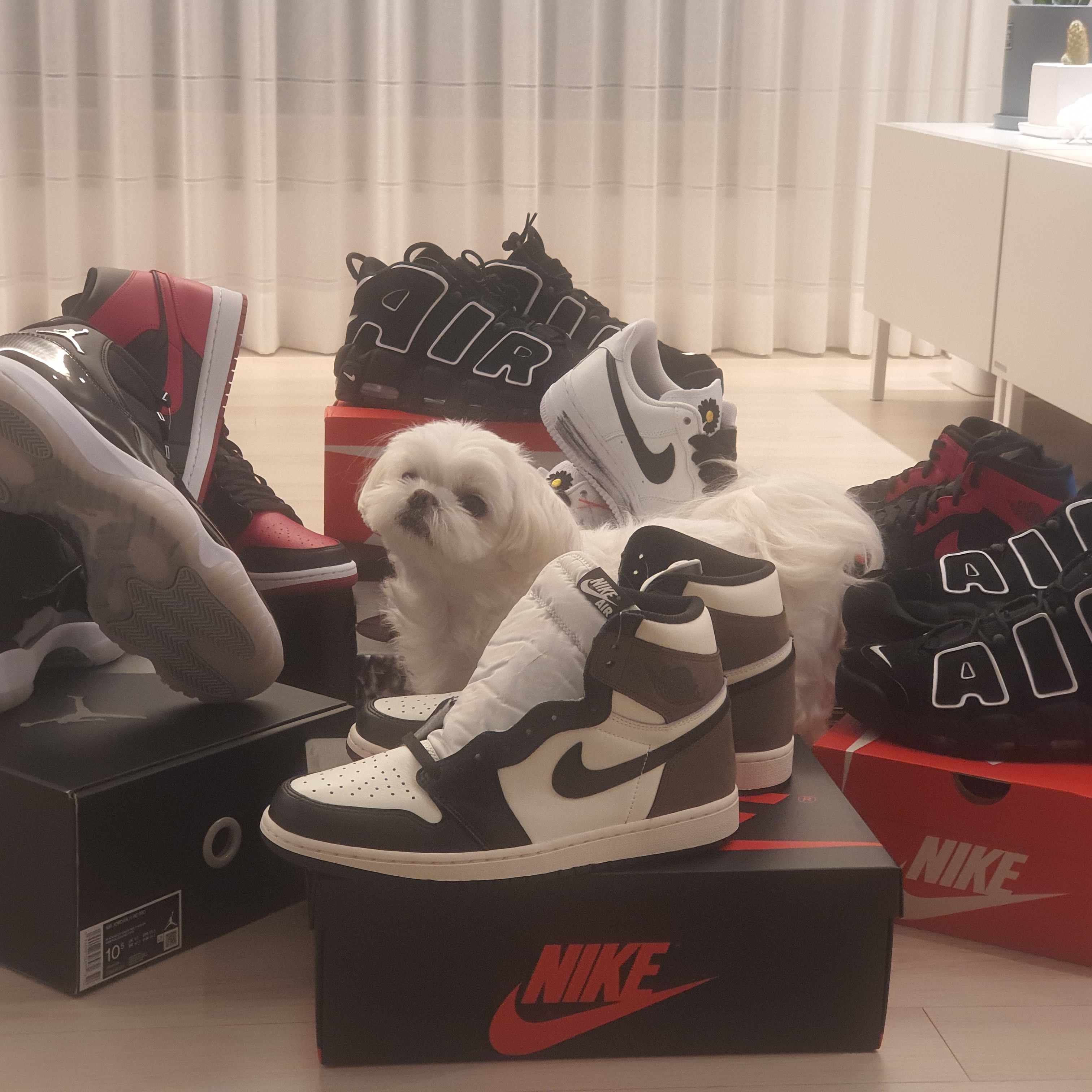 Jordan 1 Retro High OG Black Mocha 착용 스타일