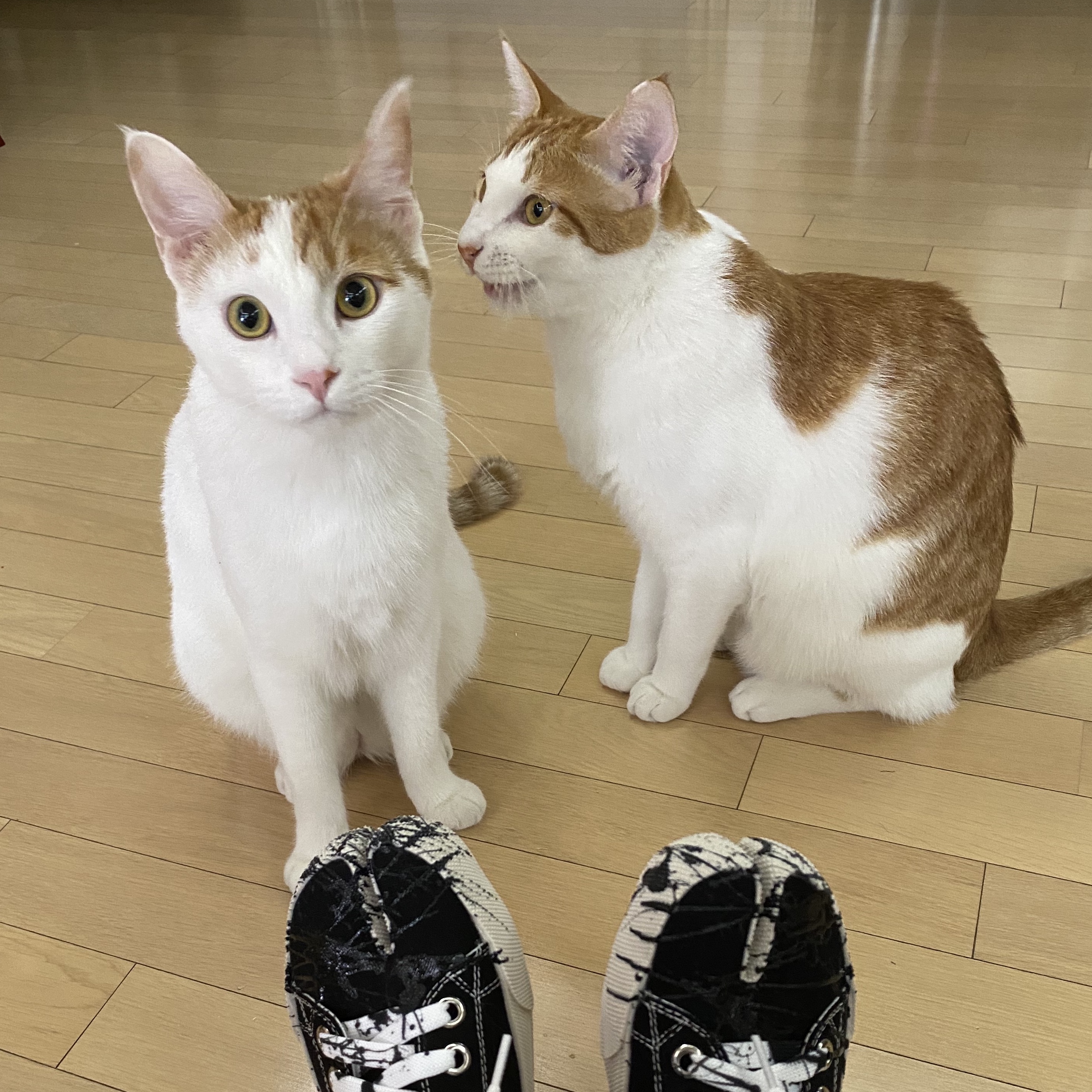Maison Margiela Tabi Paint Drop Sneakers Black 착용 스타일 - 2