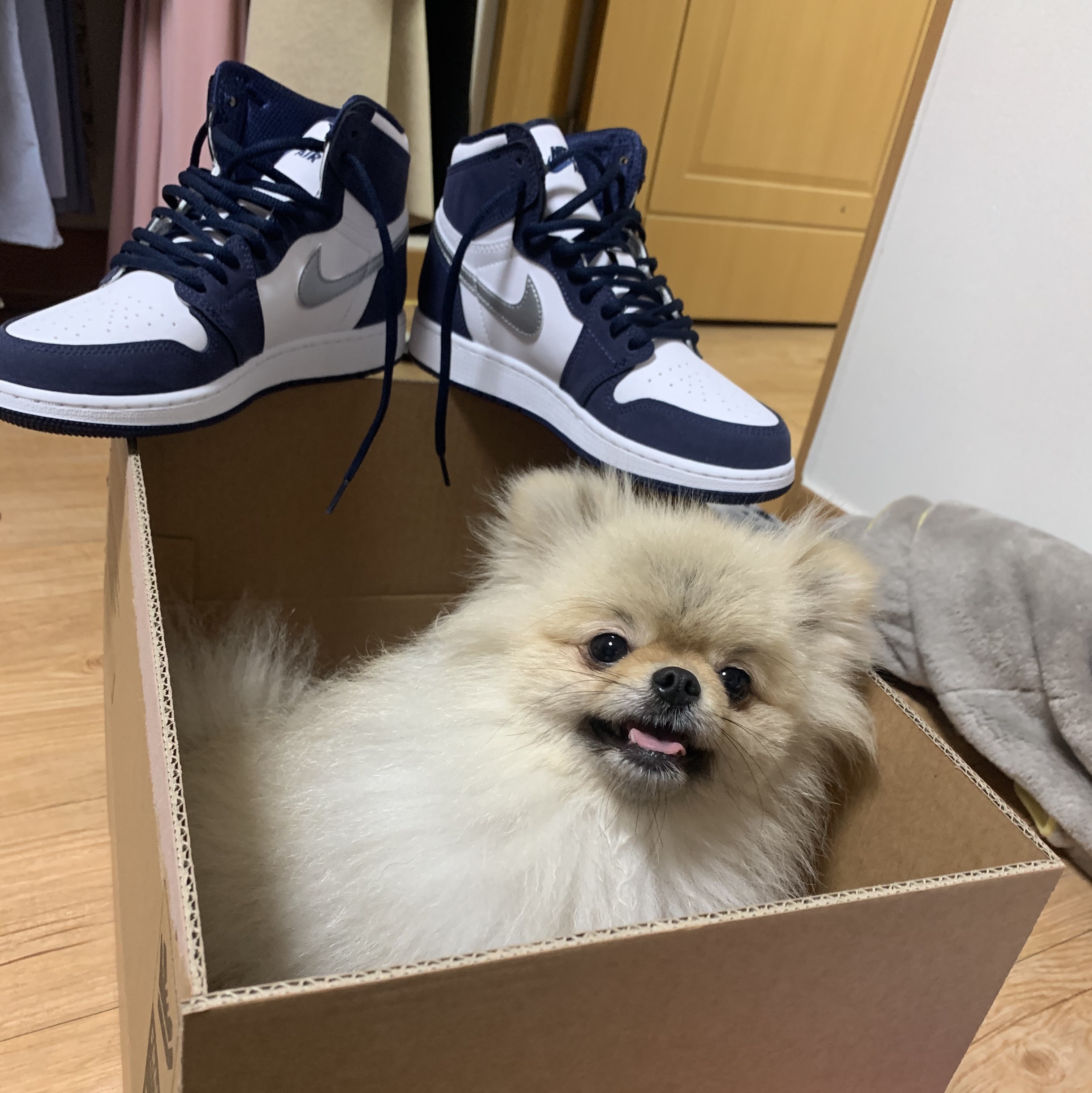 (GS) Jordan 1 Retro High OG CO.JP Midnight Navy 착용 스타일 - 2