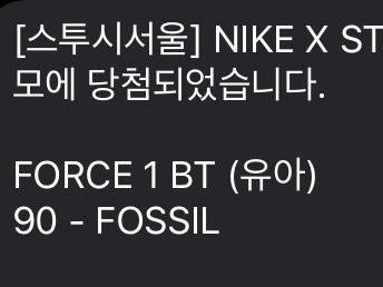 Nike x Stussy Air Force 1 Low Fossil 착용 스타일