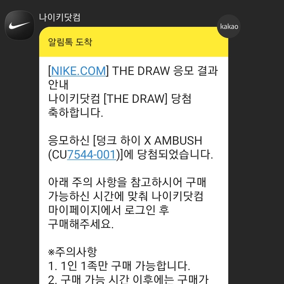 Nike x Ambush Dunk High Black 착용 스타일