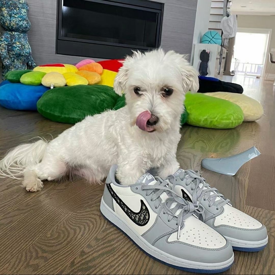 Jordan 1 x Dior Low OG 착용 스타일