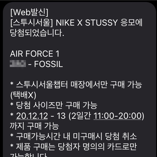 Nike x Stussy Air Force 1 Low Fossil 착용 스타일