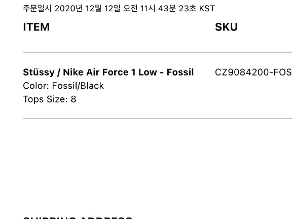 Nike x Stussy Air Force 1 Low Fossil 착용 스타일