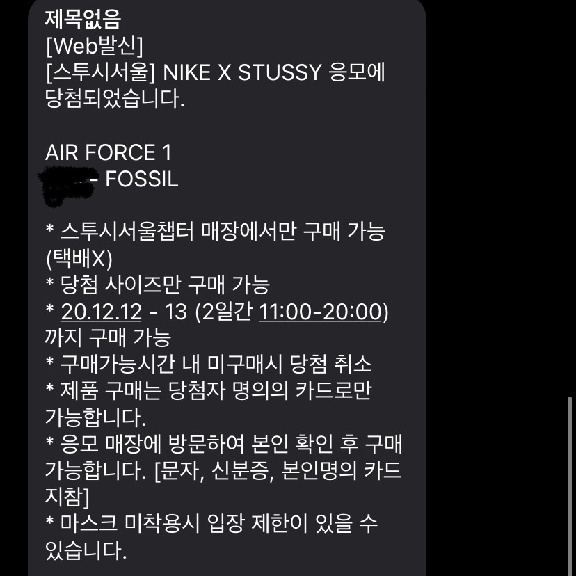 Nike x Stussy Air Force 1 Low Fossil 착용 스타일 - 3