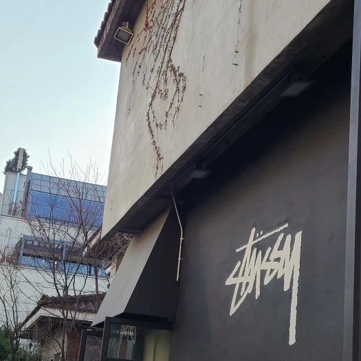 스타일 카드