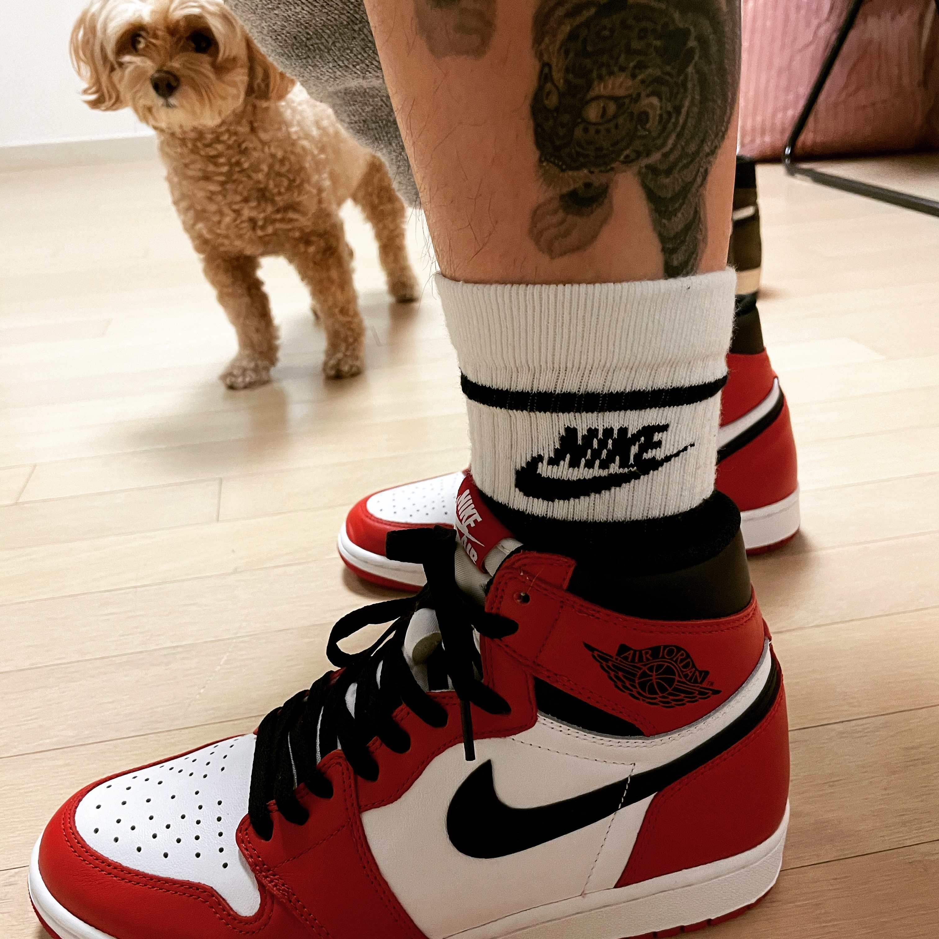 Jordan 1 Retro High OG Chicago 2015 착용 스타일