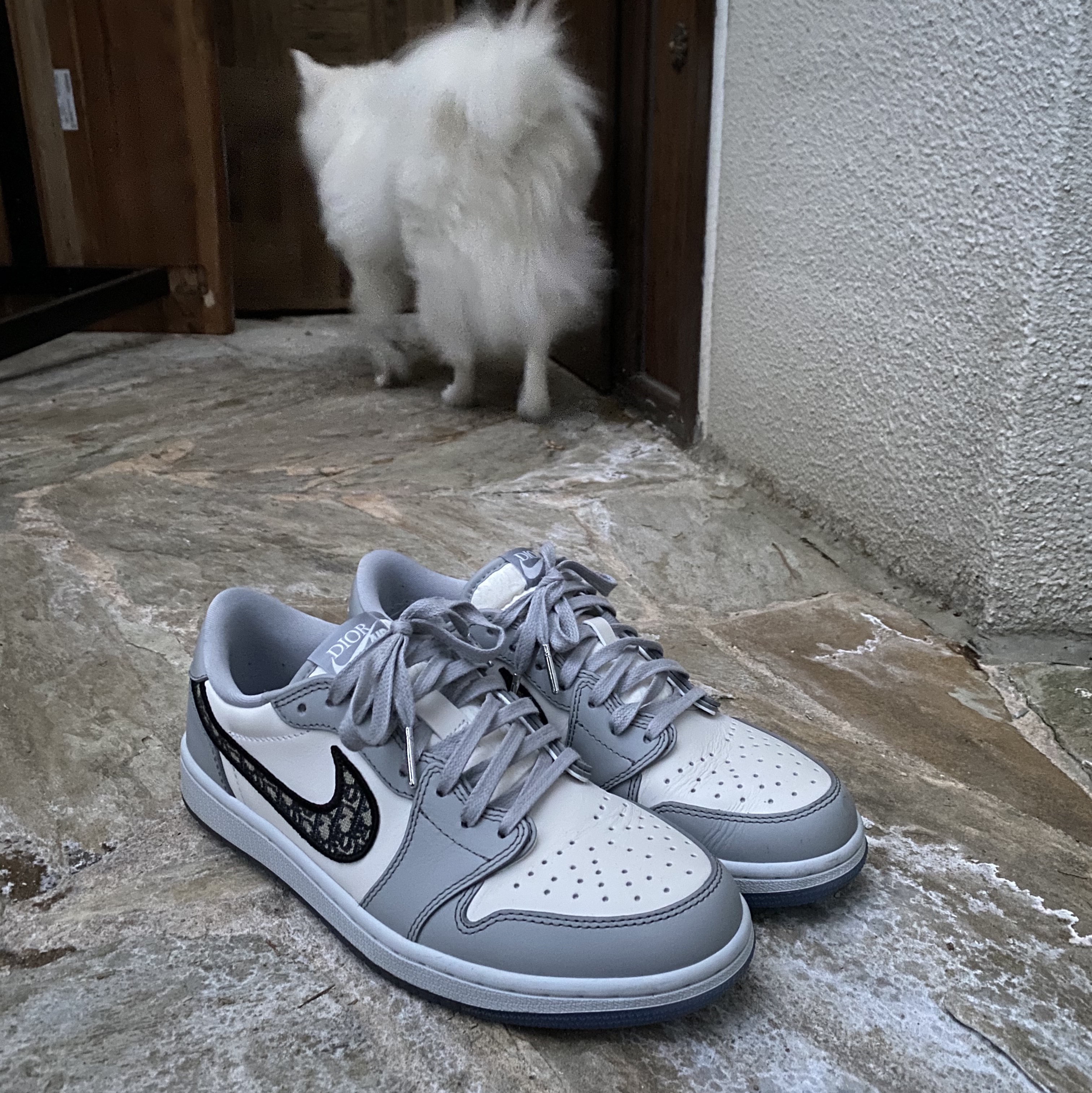 Jordan 1 x Dior Low OG 착용 스타일 - 1
