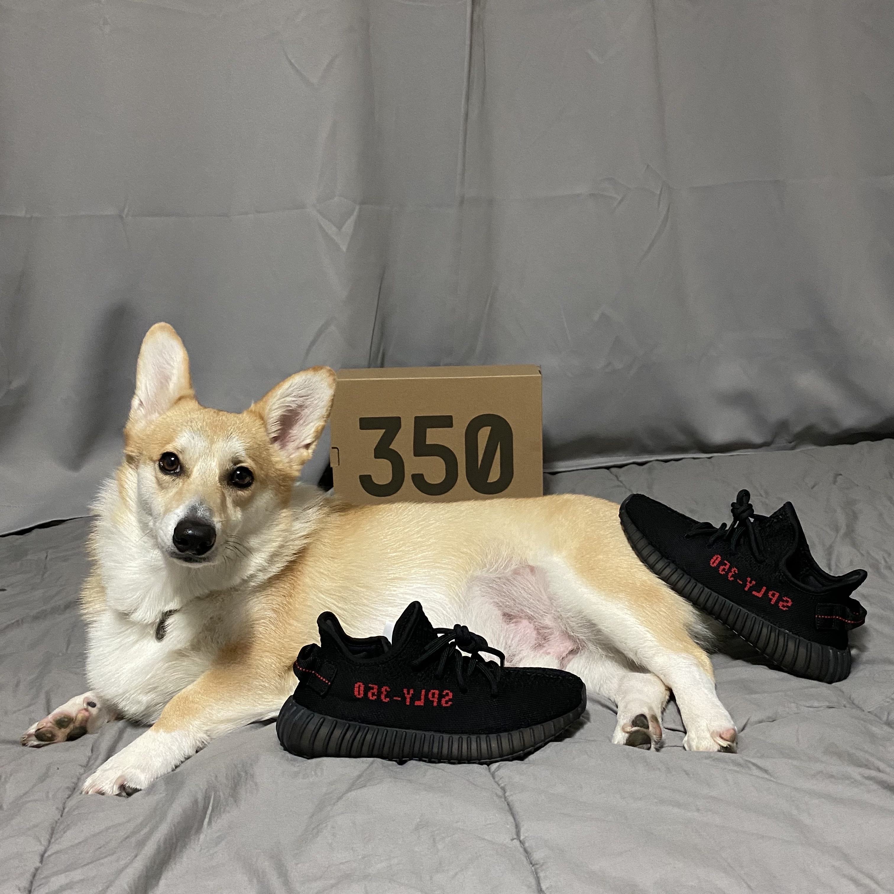 Adidas Yeezy Boost 350 V2 Black Red 2020 착용 스타일