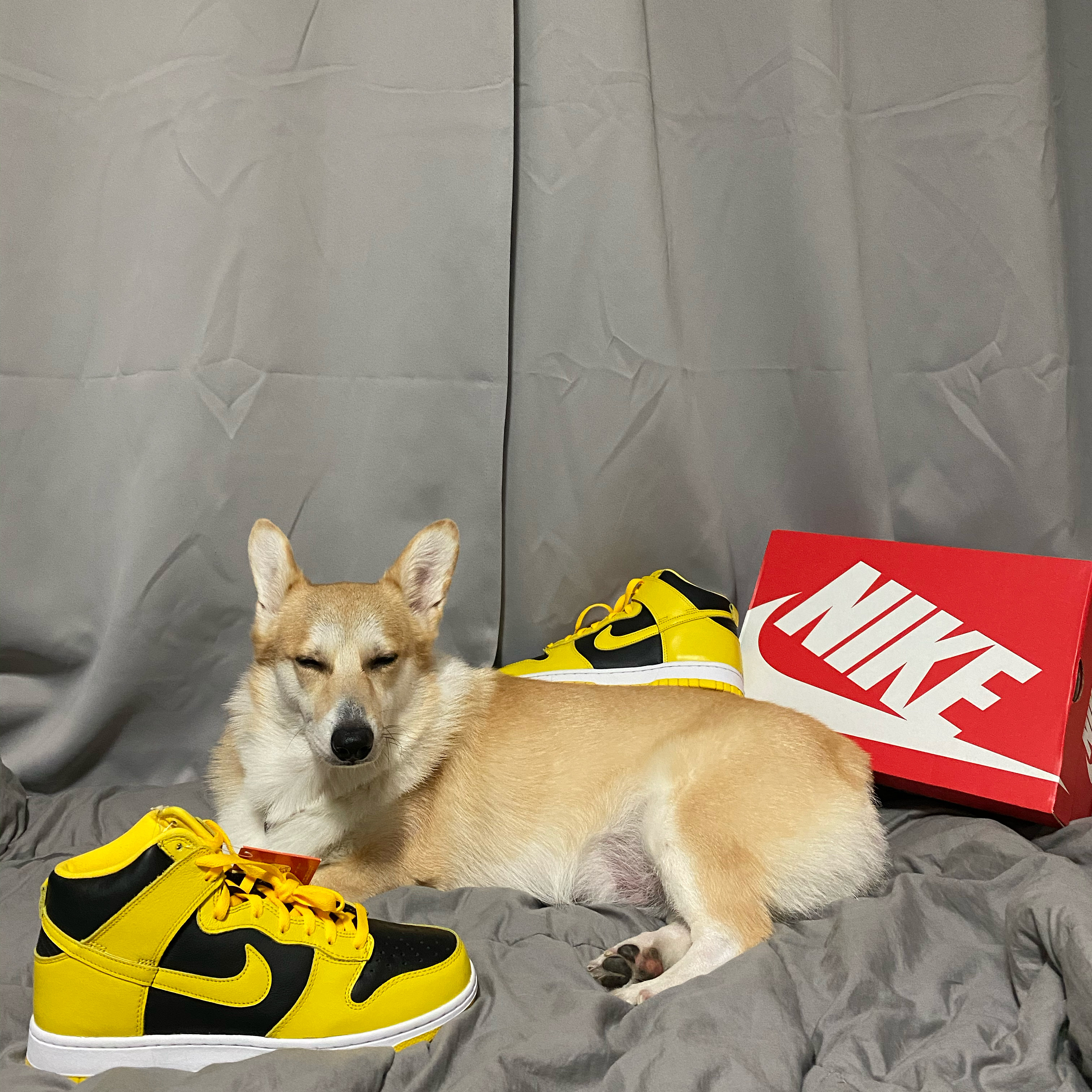 Nike Dunk High SP Varsity Maize 착용 스타일