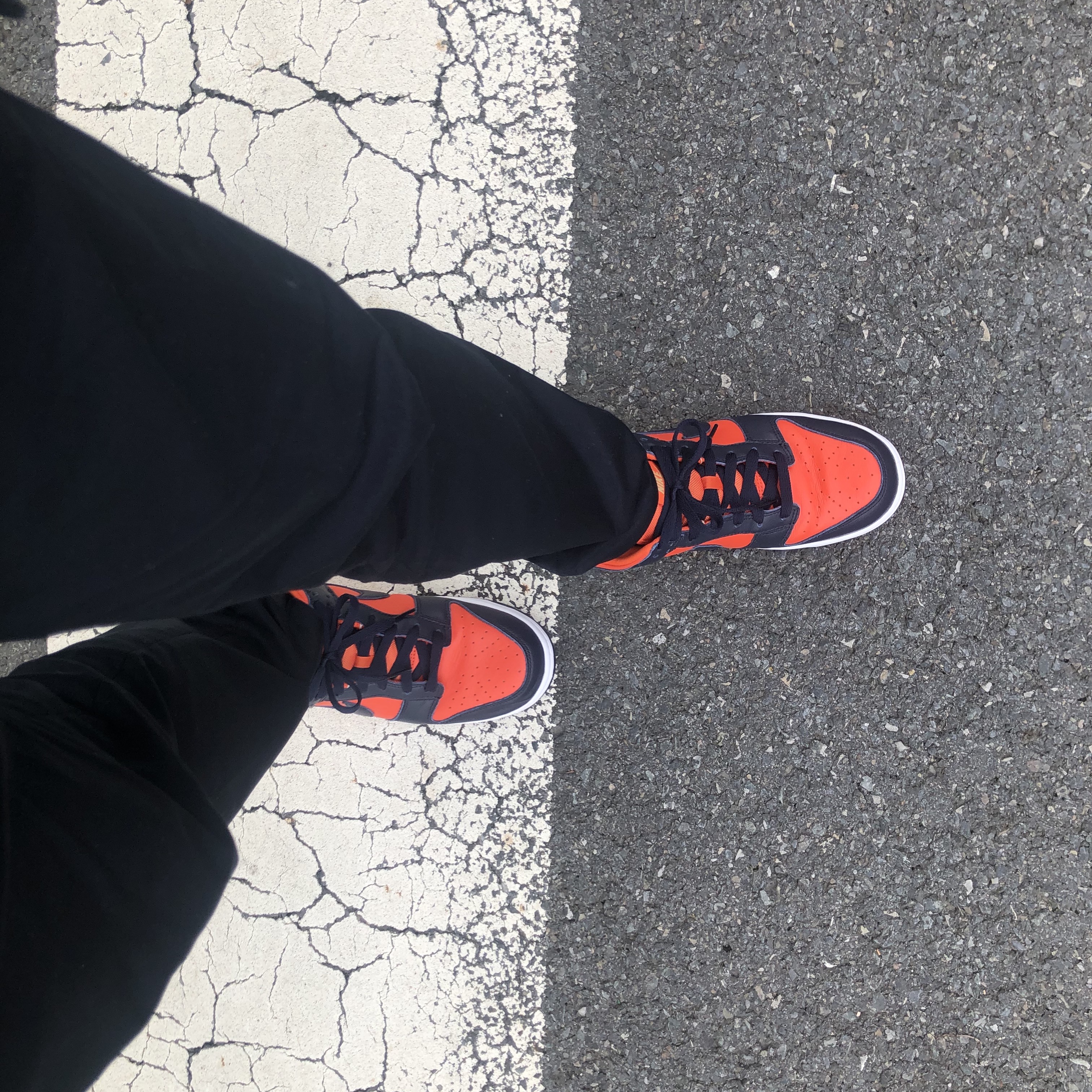 Nike Dunk Low SP Champ Colors 착용 스타일