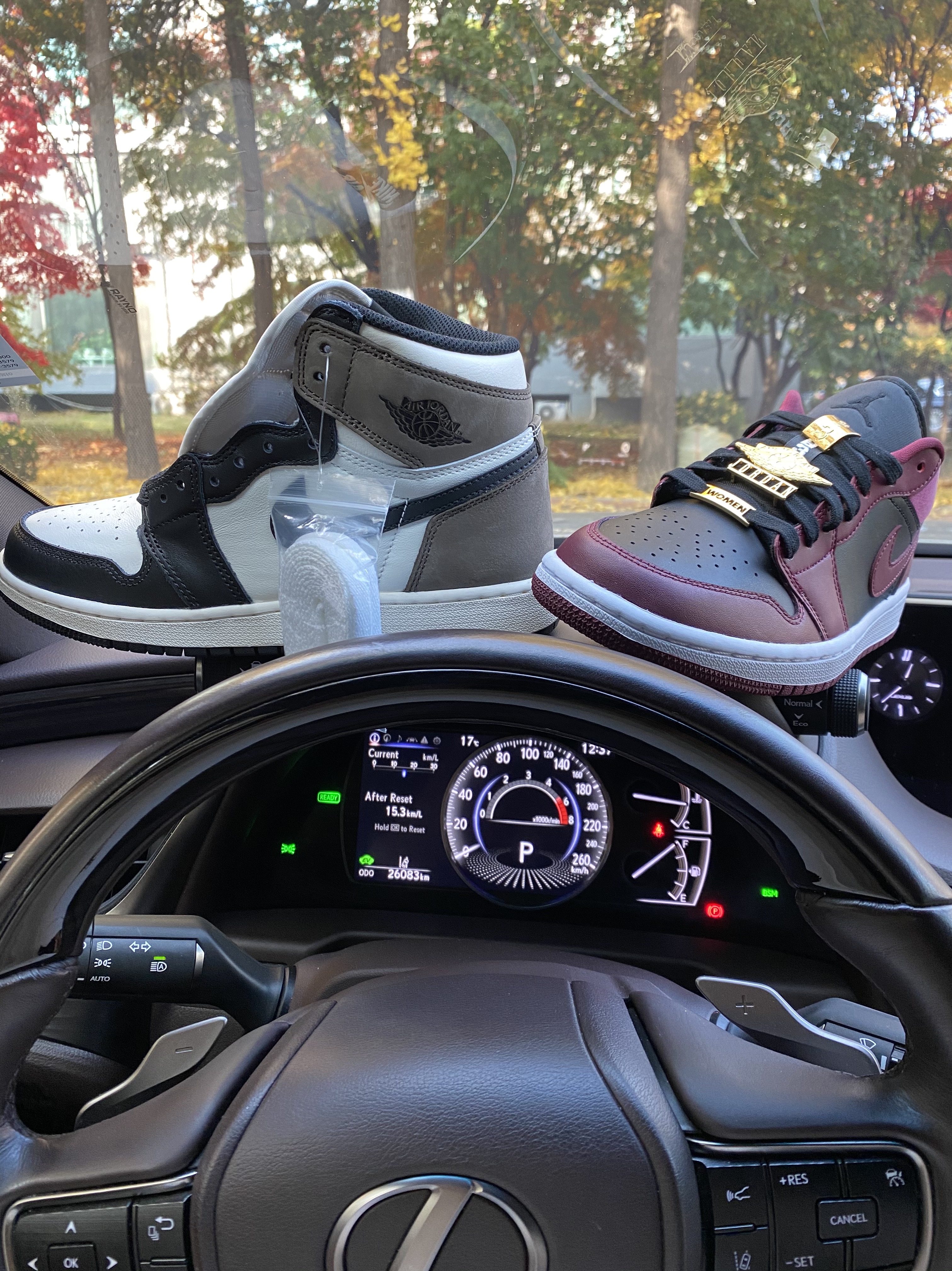 (GS) Jordan 1 Retro High OG Black Mocha, (W) Jordan 1 Low SE Dark Beetroot 착용 스타일