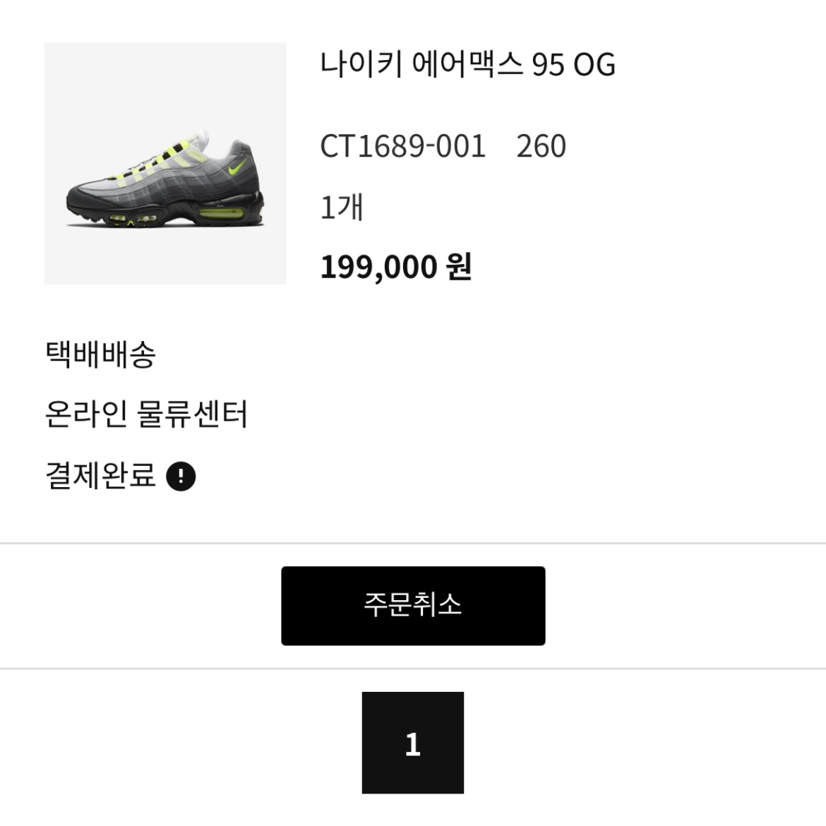 Nike Air Max 95 OG Neon Yellow 2020 착용 스타일