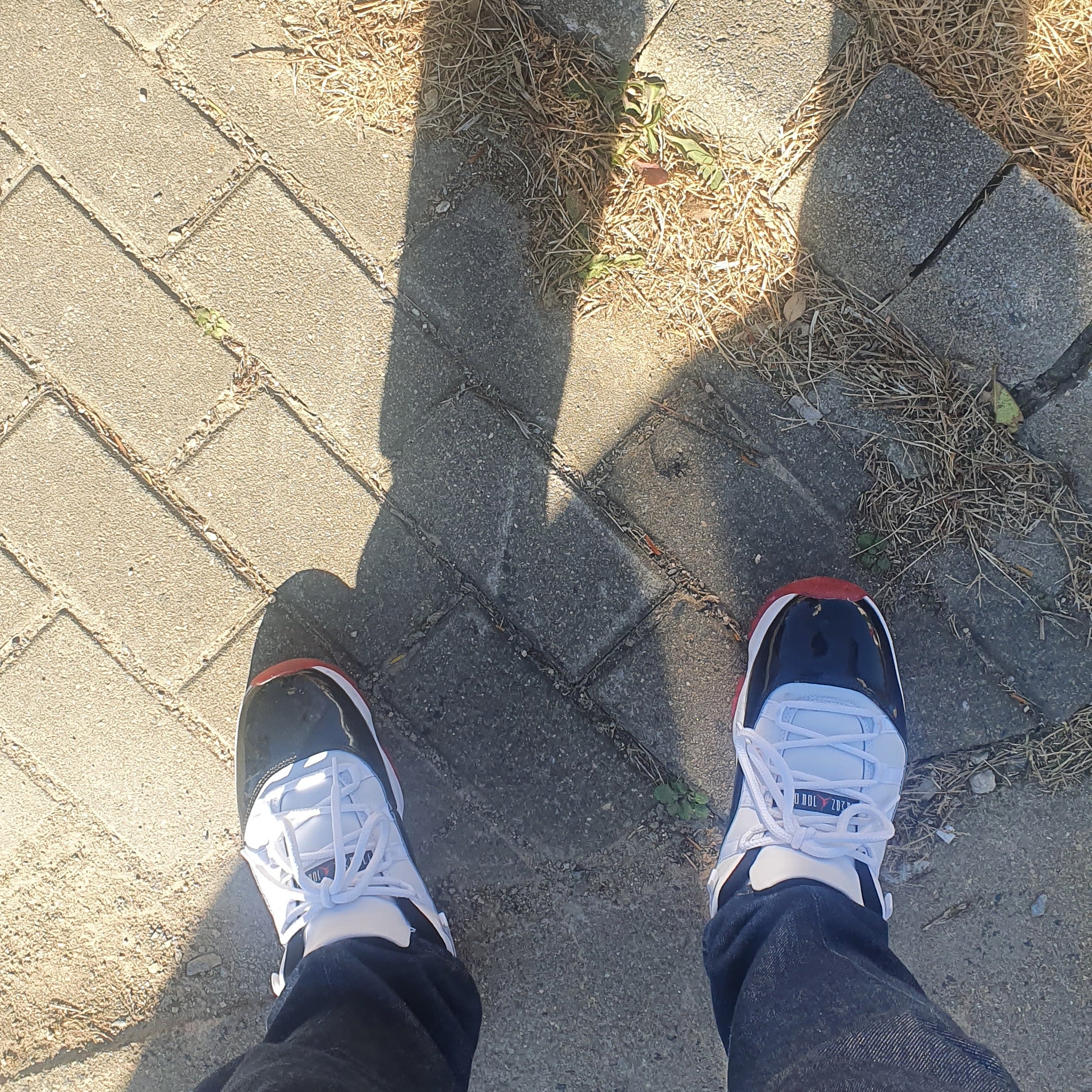 Jordan 11 Retro Low Concord Bred 착용 스타일