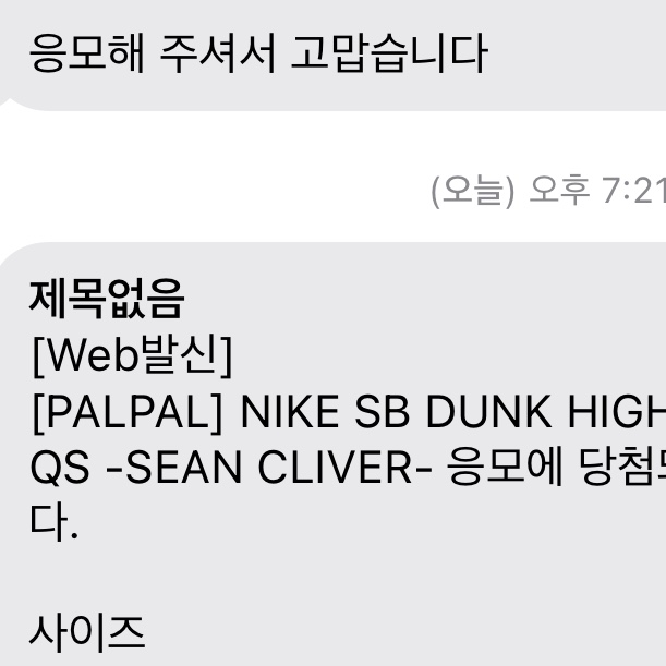 Nike x Sean Cliver SB Dunk Low Holiday Special 착용 스타일