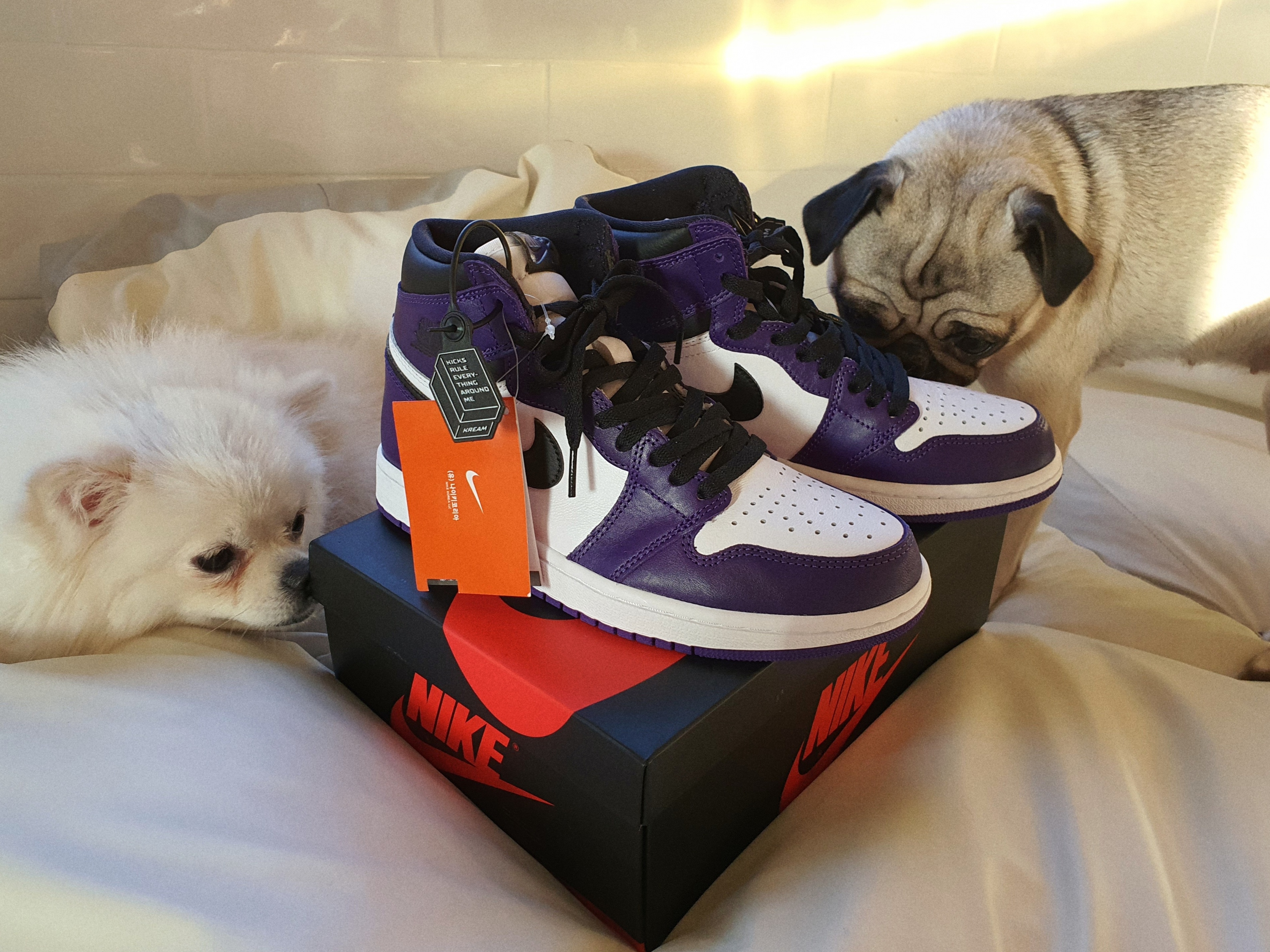 Jordan 1 Retro High OG Court Purple 2020 착용 스타일