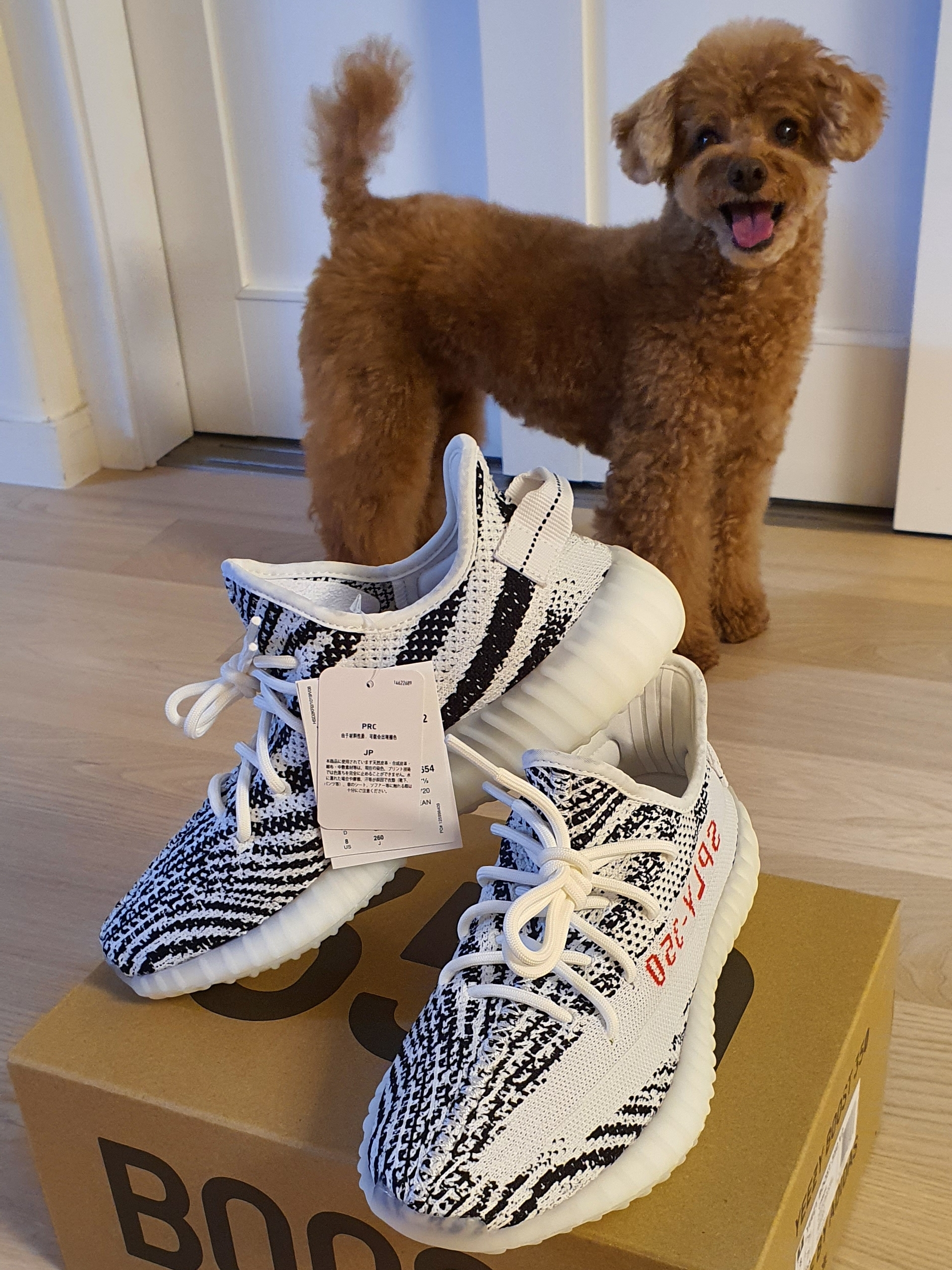 Adidas Yeezy Boost 350 V2 Zebra 2017/2019/2020 착용 스타일