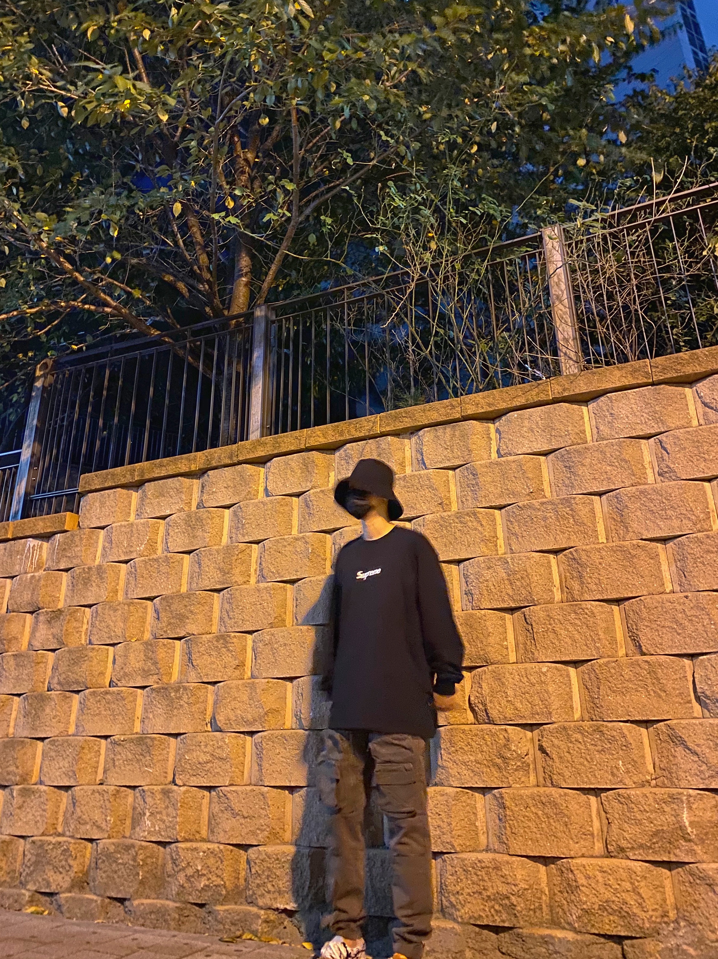 Vans Era Tiger Patchwork, Supreme Box Logo L/S T-Shirt Black - 20FW 착용 스타일 - 2