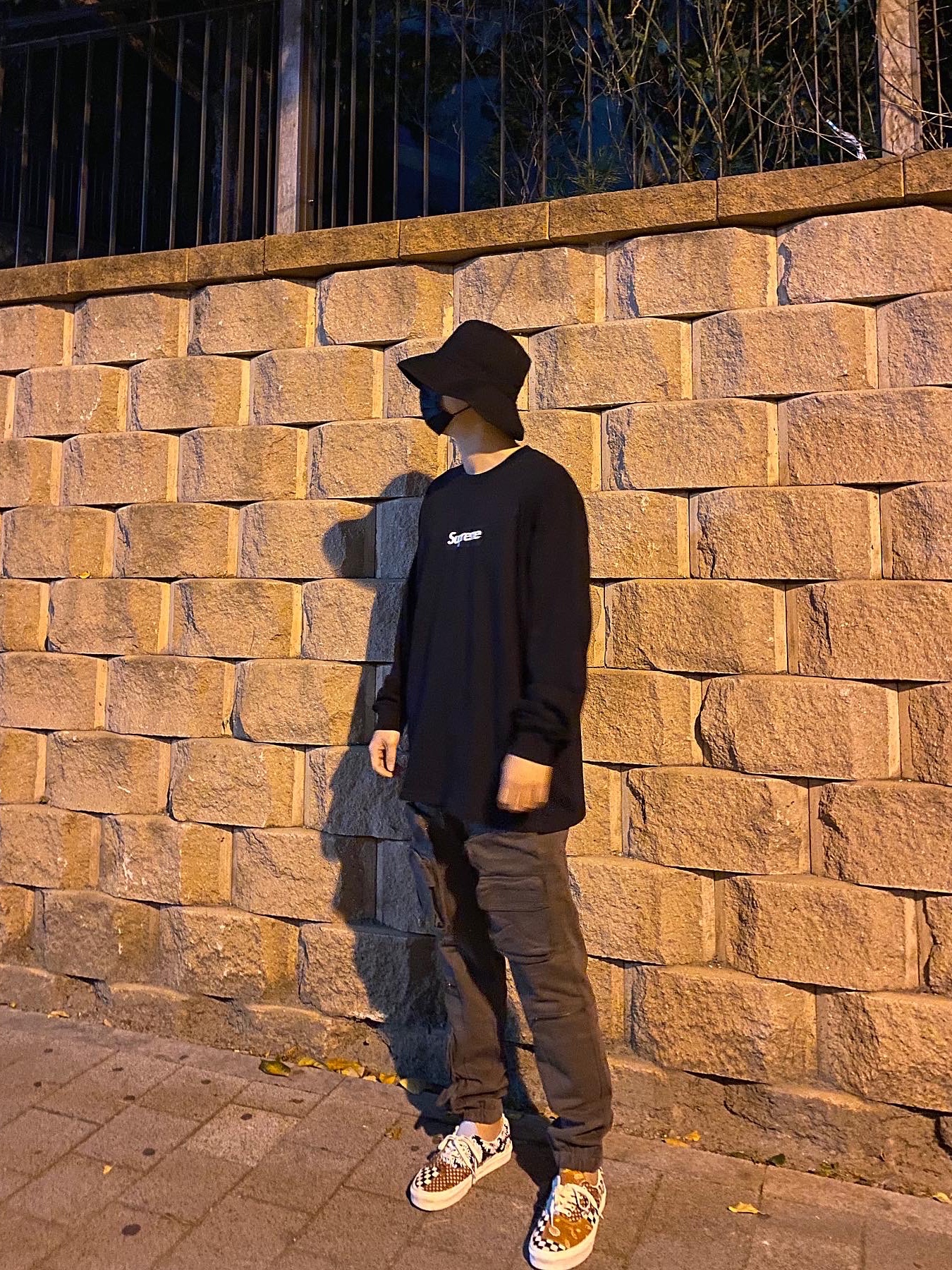Vans Era Tiger Patchwork, Supreme Box Logo L/S T-Shirt Black - 20FW 착용 스타일 - 1