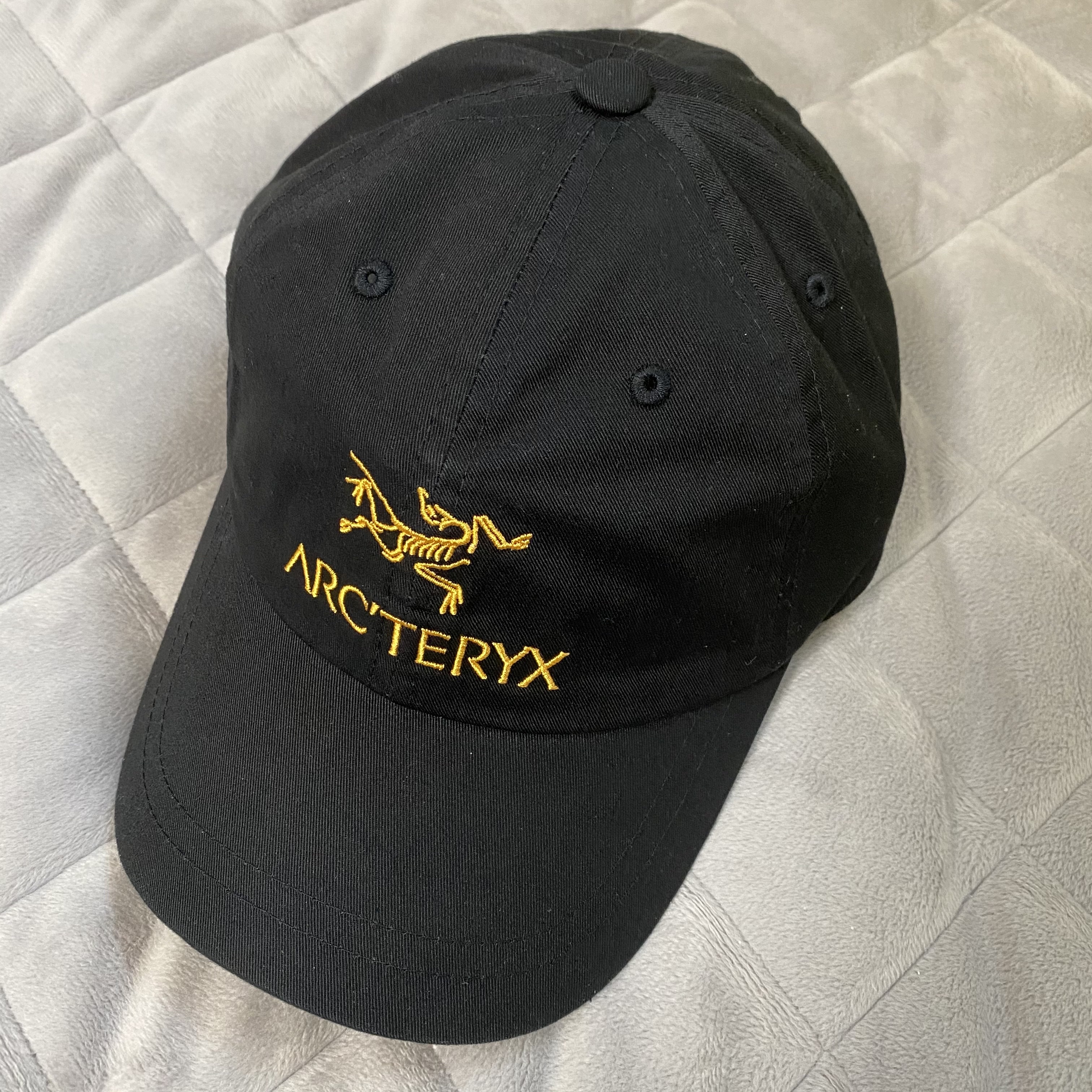 Palace x Arc'teryx 6-Panel Black - 20FW 착용 스타일 - 1