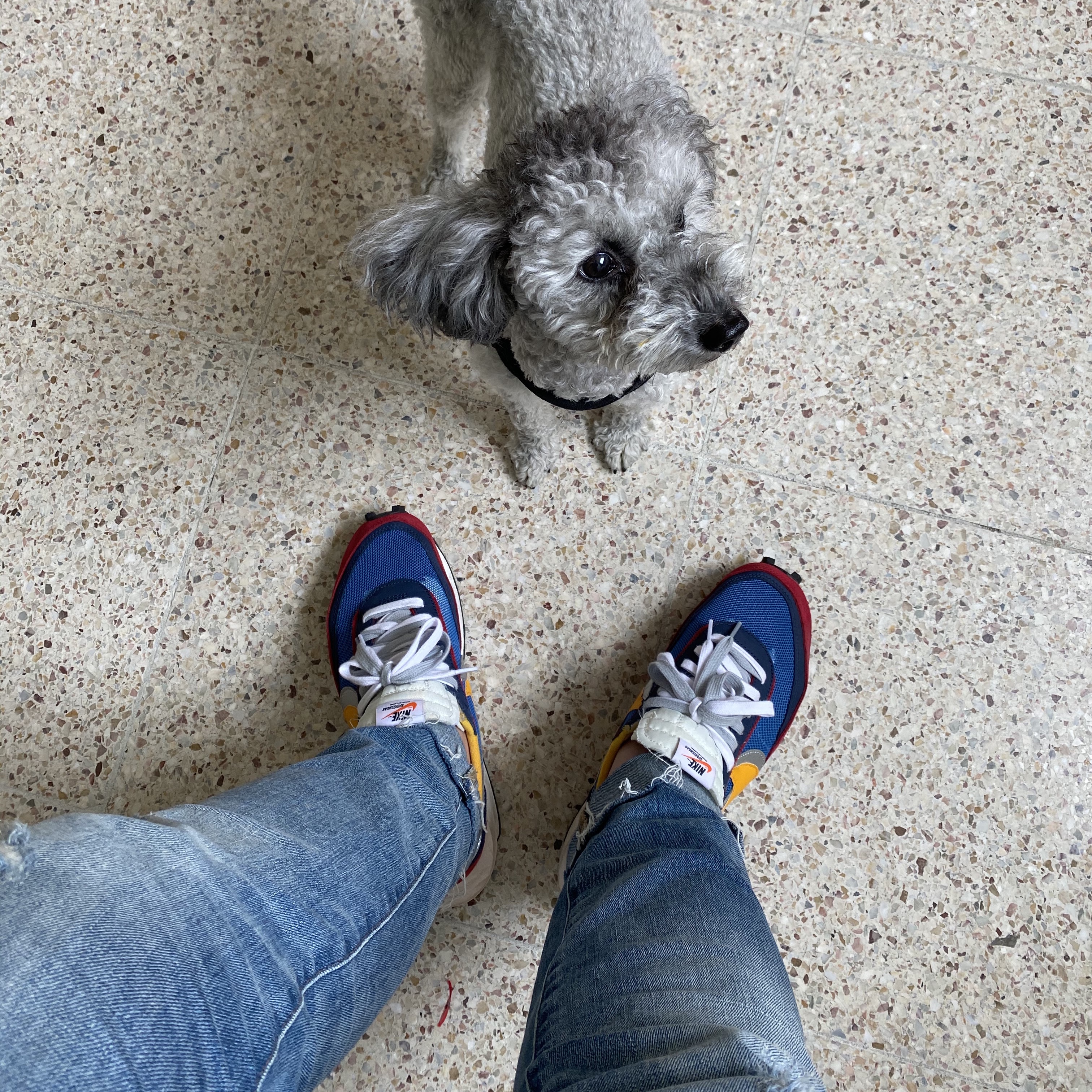 Nike x Sacai LDWaffle Blue Multi 착용 스타일