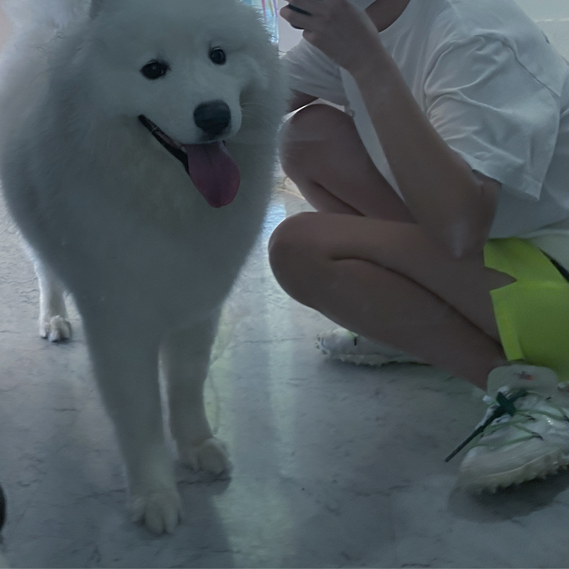 (W) Nike x Off-White Waffle Racer White 착용 스타일